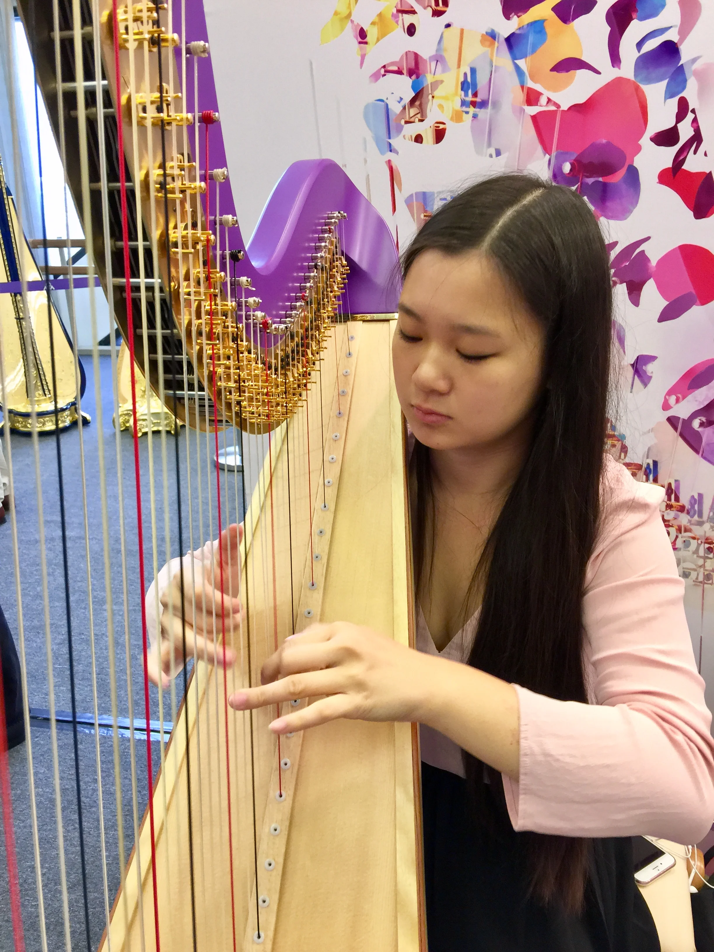 World Harp Congress 2017