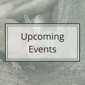 CASL Events Calendar