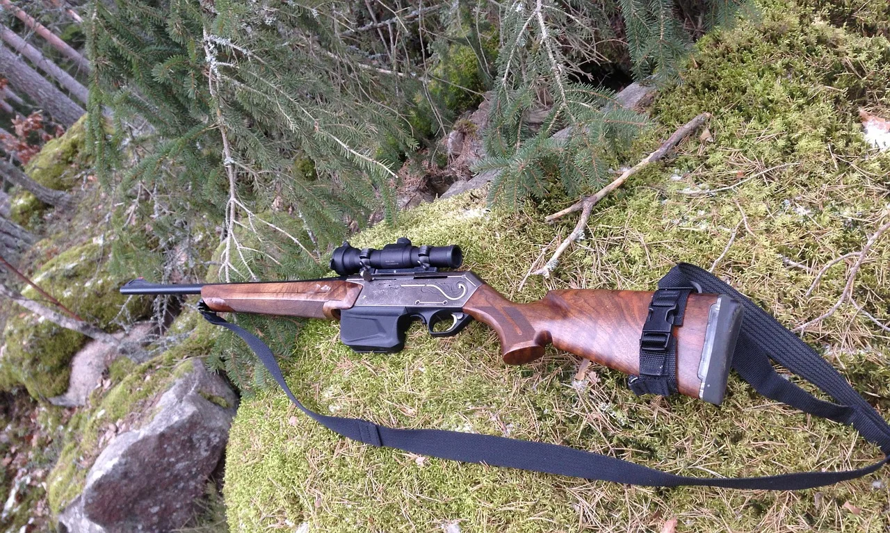 hunting-261632_1280.jpg