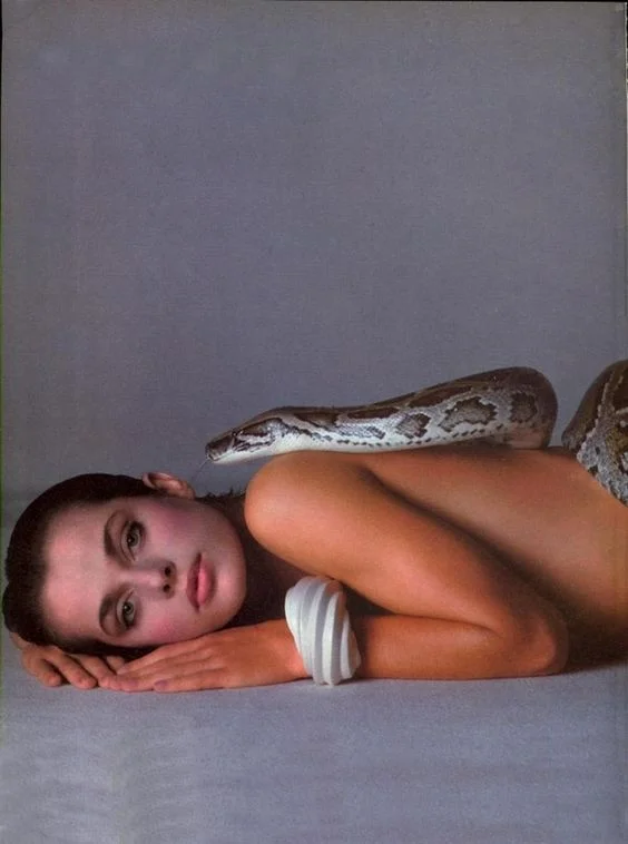 Photography: “Nastassja Kinski and the Serpent” (1981) by Richard Avedon