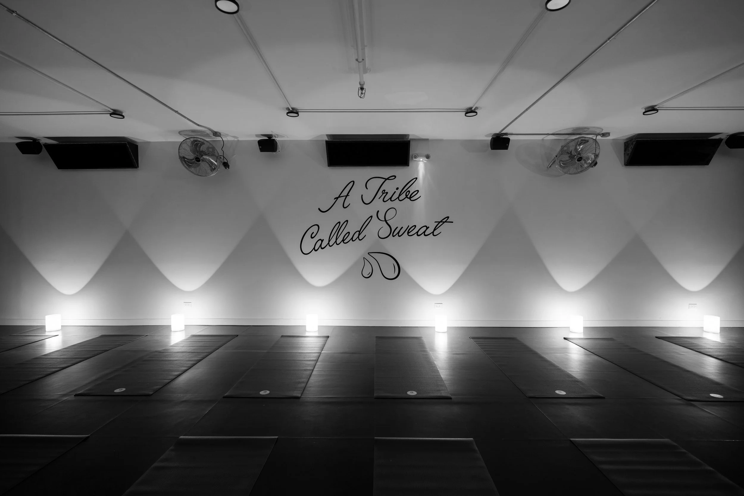 Image supplied: Y7 Studio