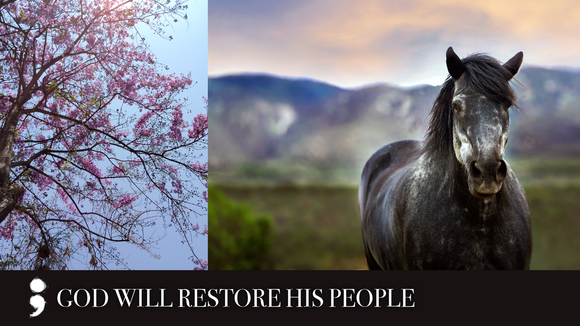 God Will Restore His People.007.png