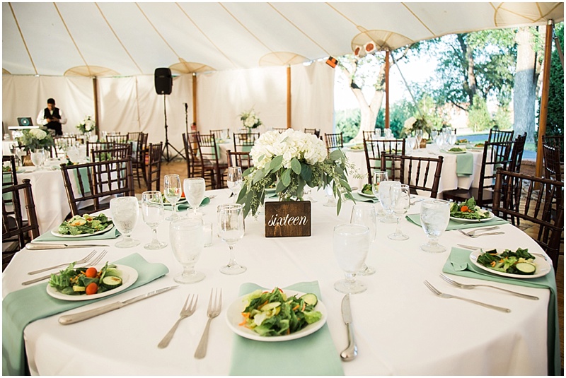 Goode-Inn-at-Vint-Hill-Romantic-Virginia-Wedding-Warrenton-Virginia-Wedding-Photographer_0957.jpg