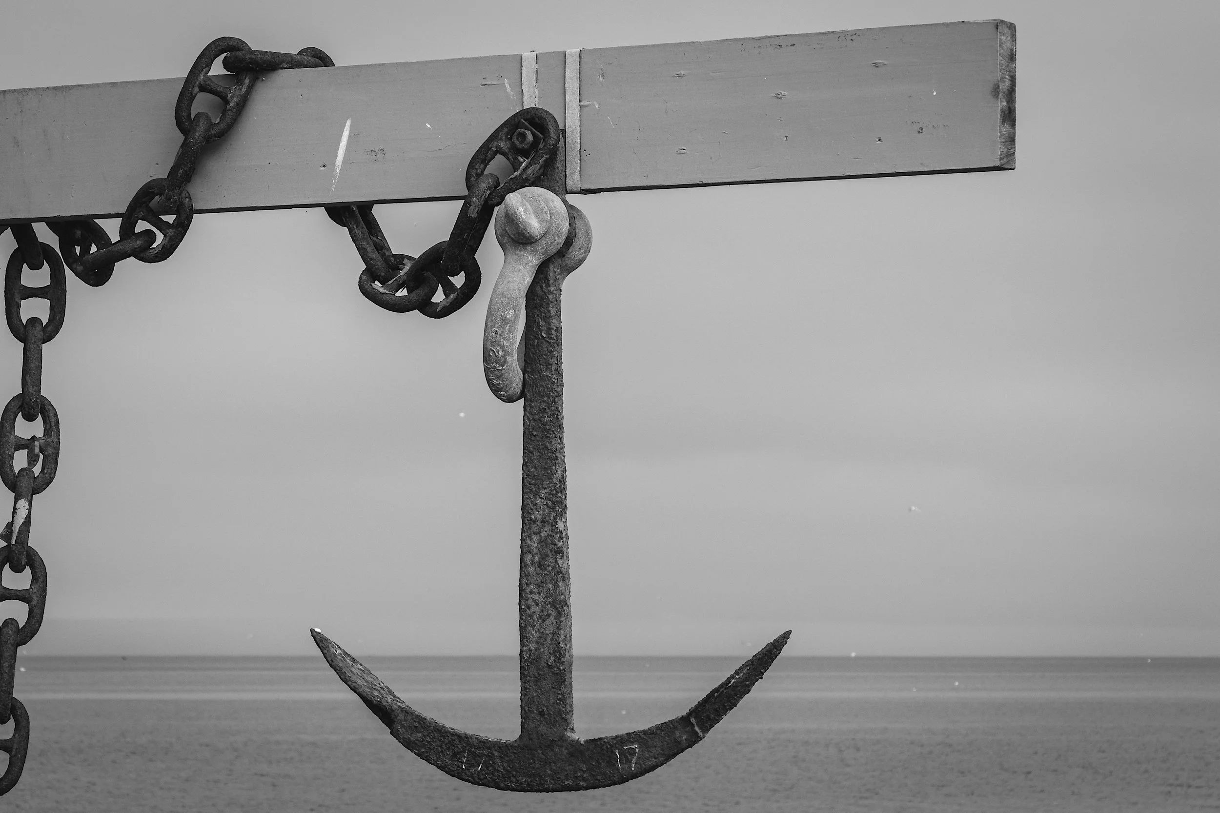 Organization Anchors: The First Step to Achieving Team Alignment