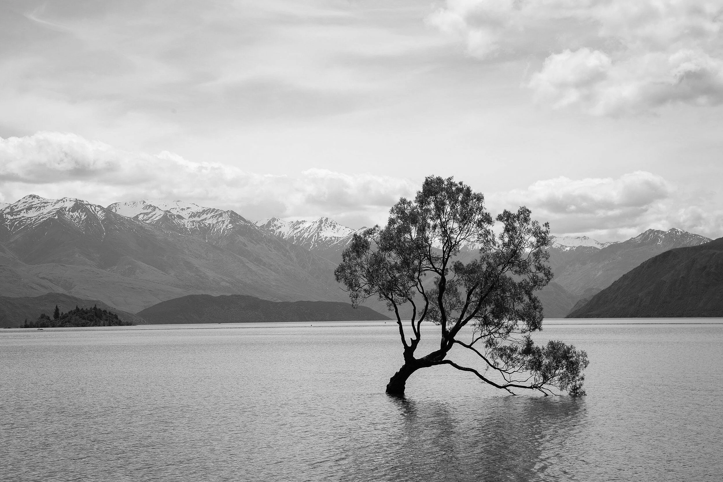 The Power of Adaptability