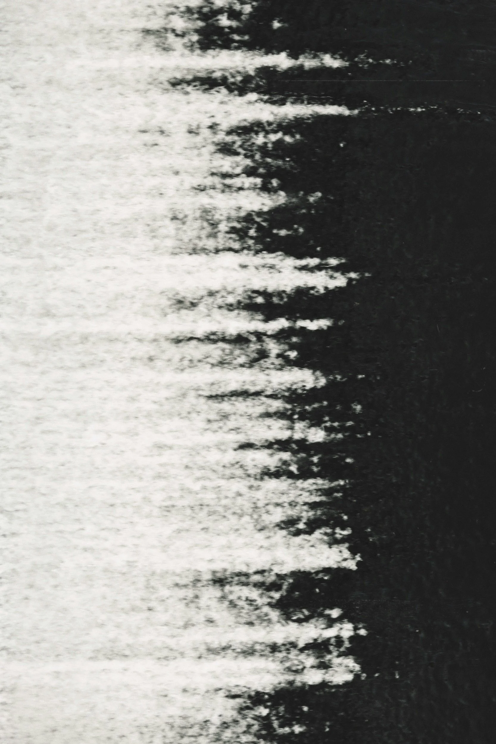 Reckoning the Past: A Historical Review of My Education on Racism