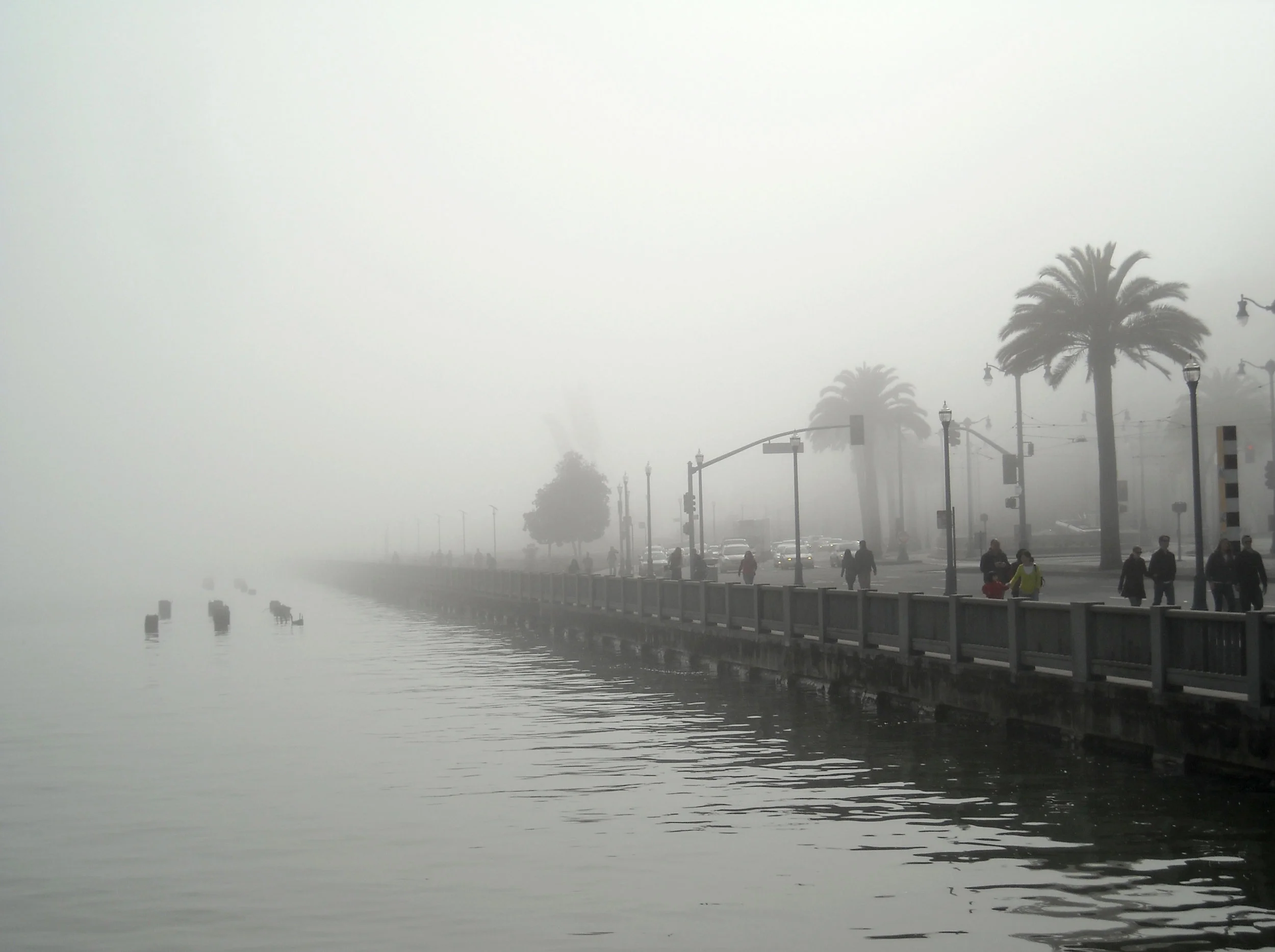 Foggy_Day_in_San_Francisco_(4425995559).jpg