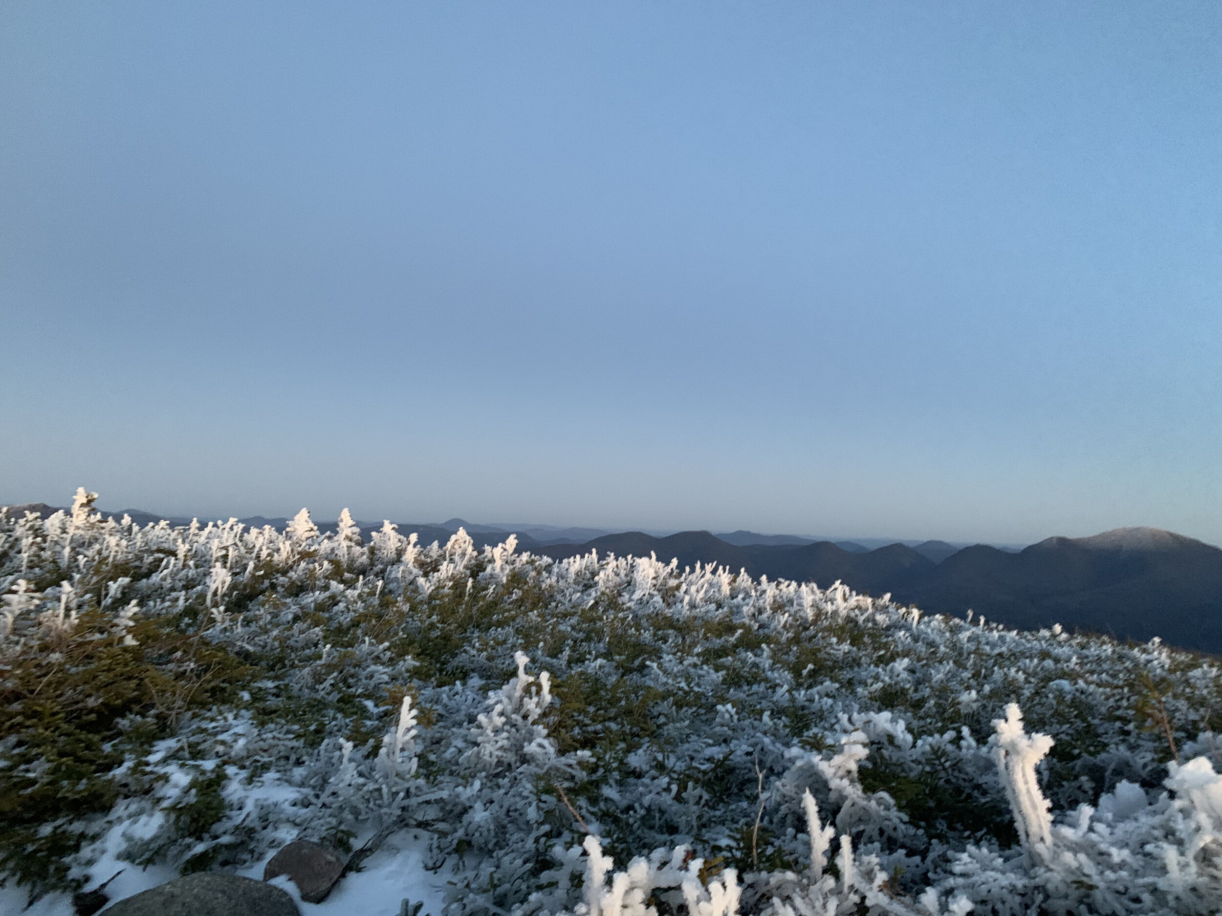 Mt. Guyot