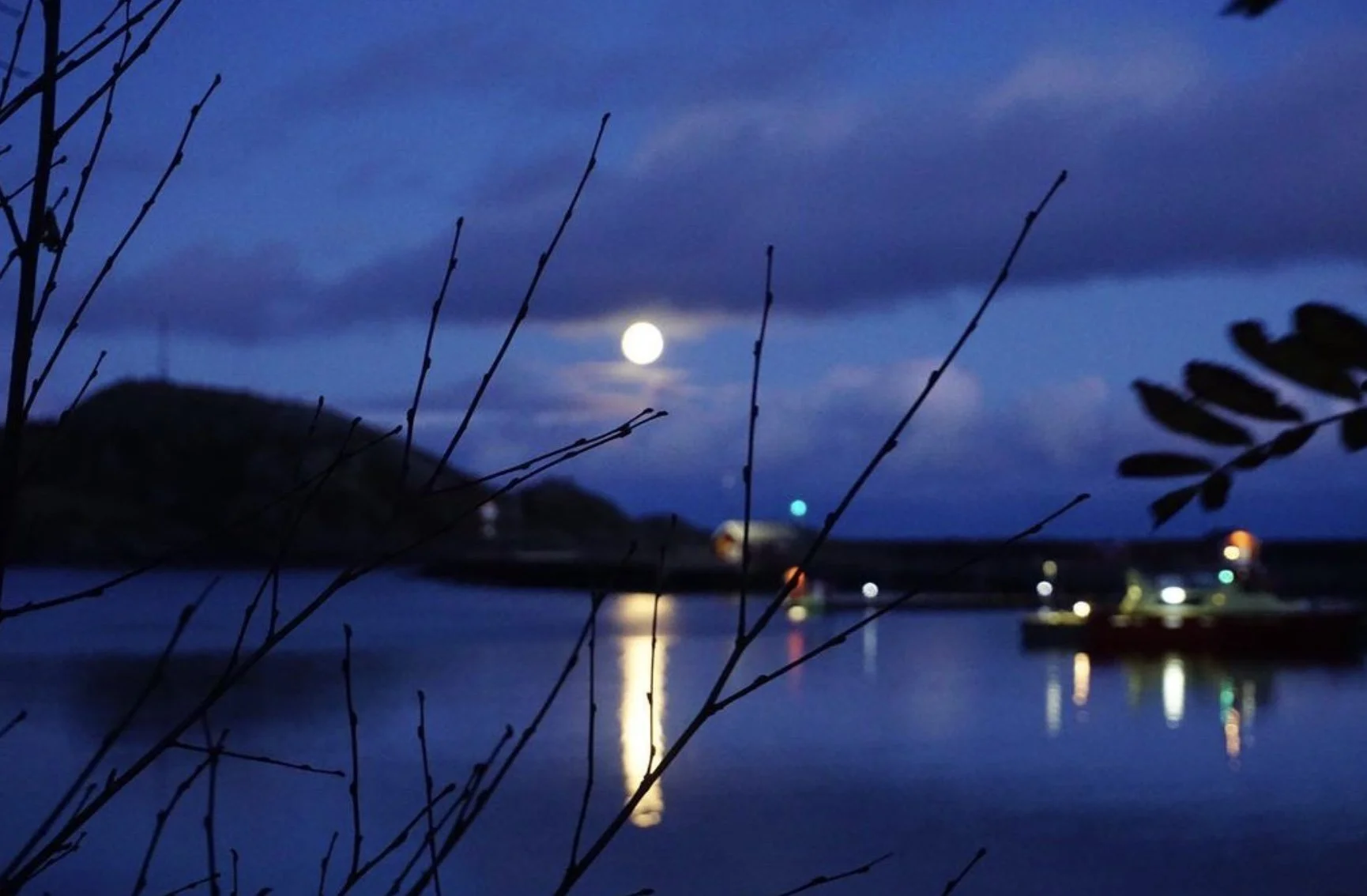 Image 4-15-24 at 8.13 PM (2).jpg