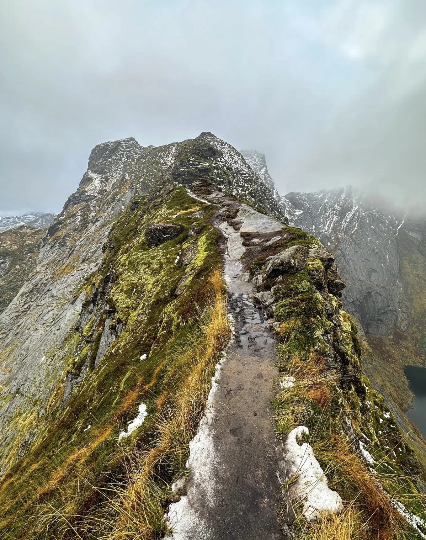 Image 4-15-24 at 8.13 PM.jpg