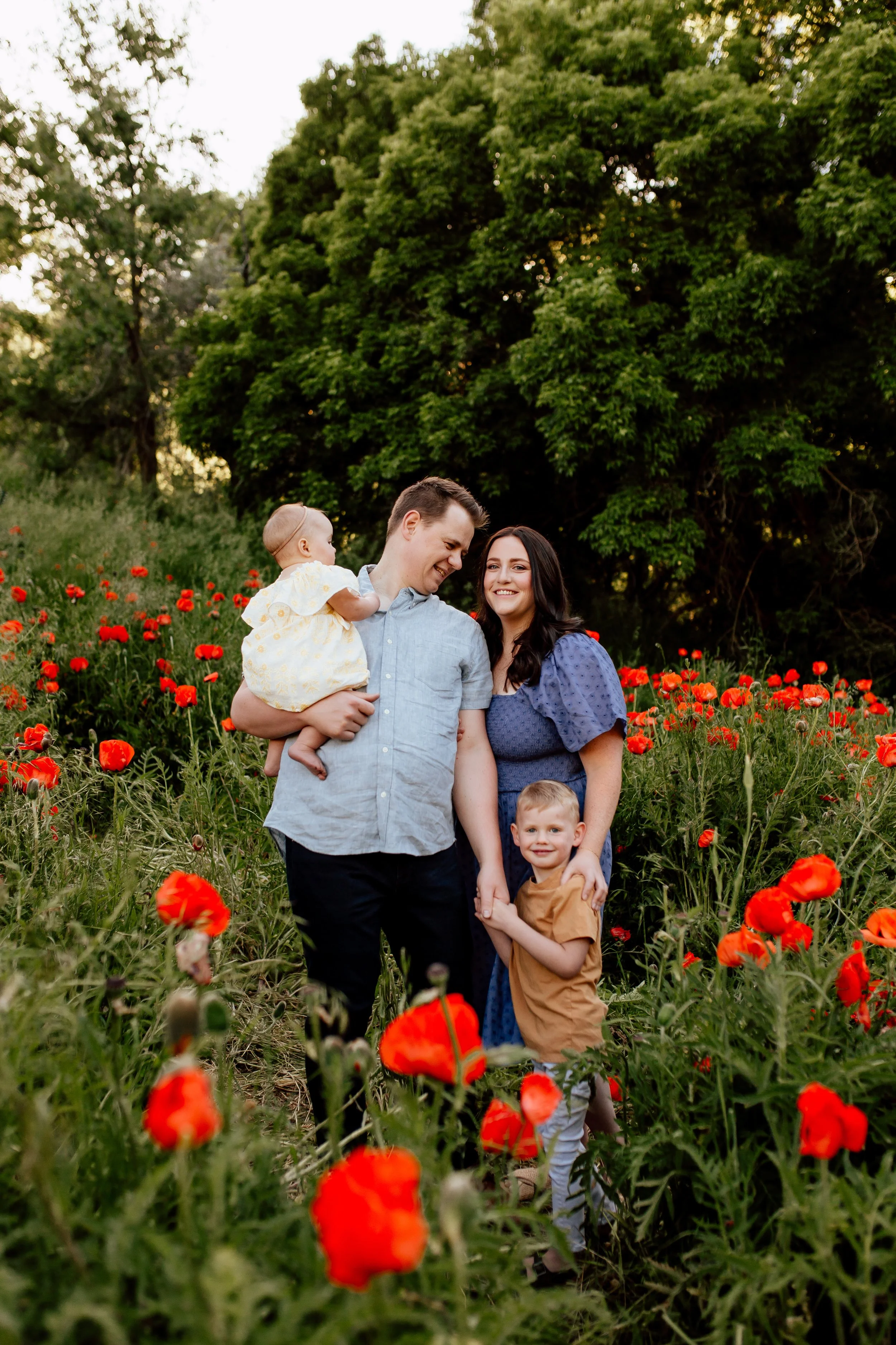 Poppy Field Family Photos