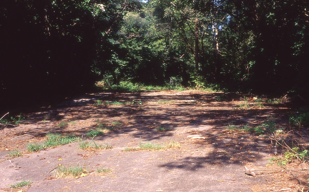 lovelyslides_beach&quary002.jpg