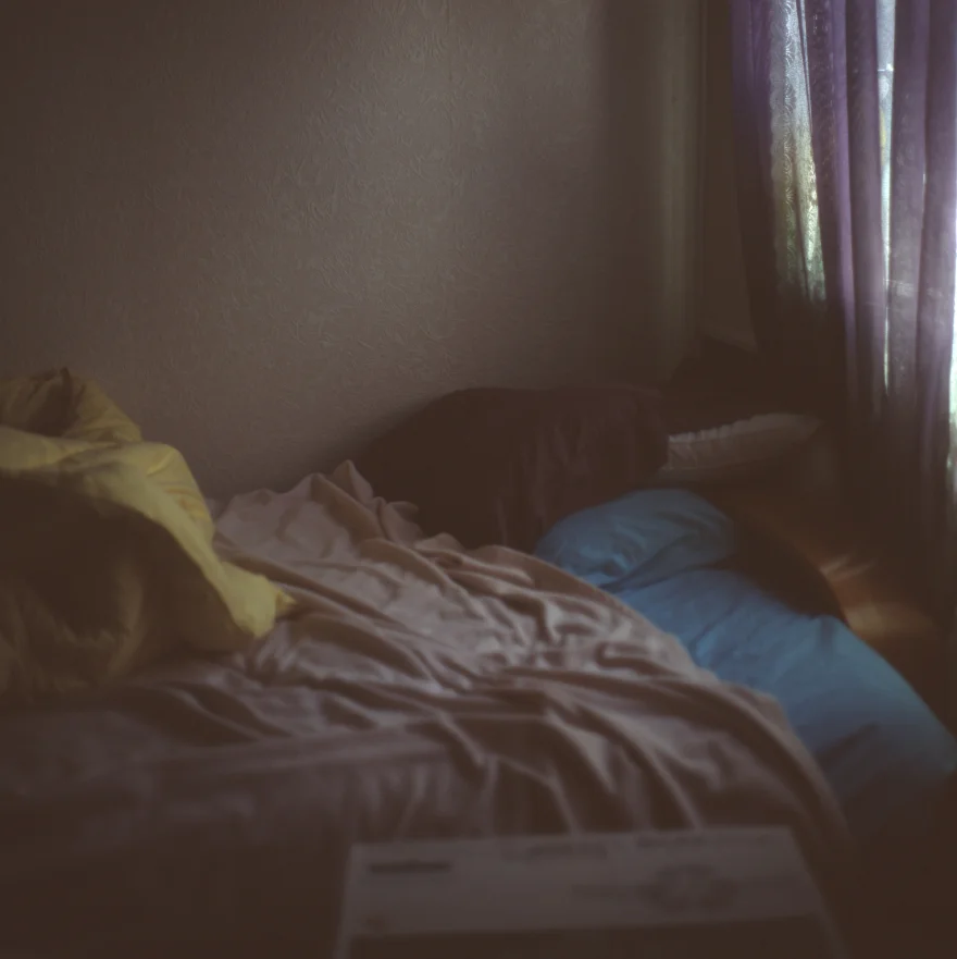 come here / stay here, 2016