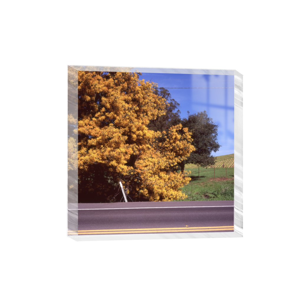 ptq_300_0_4_0_5092_5092_0_false_ffffff_0_0_.png