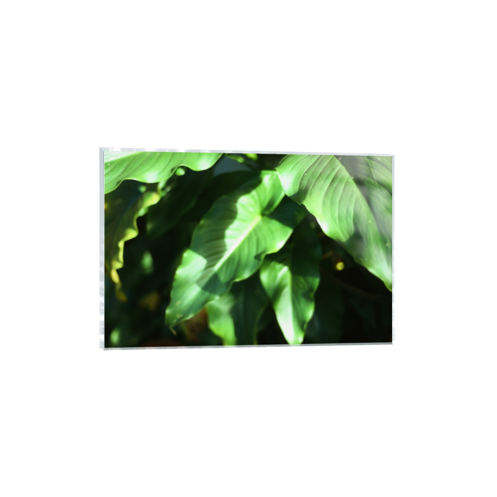 ptq_17_3_18_0_6738_4492_0_false_ffffff_0_0_.png