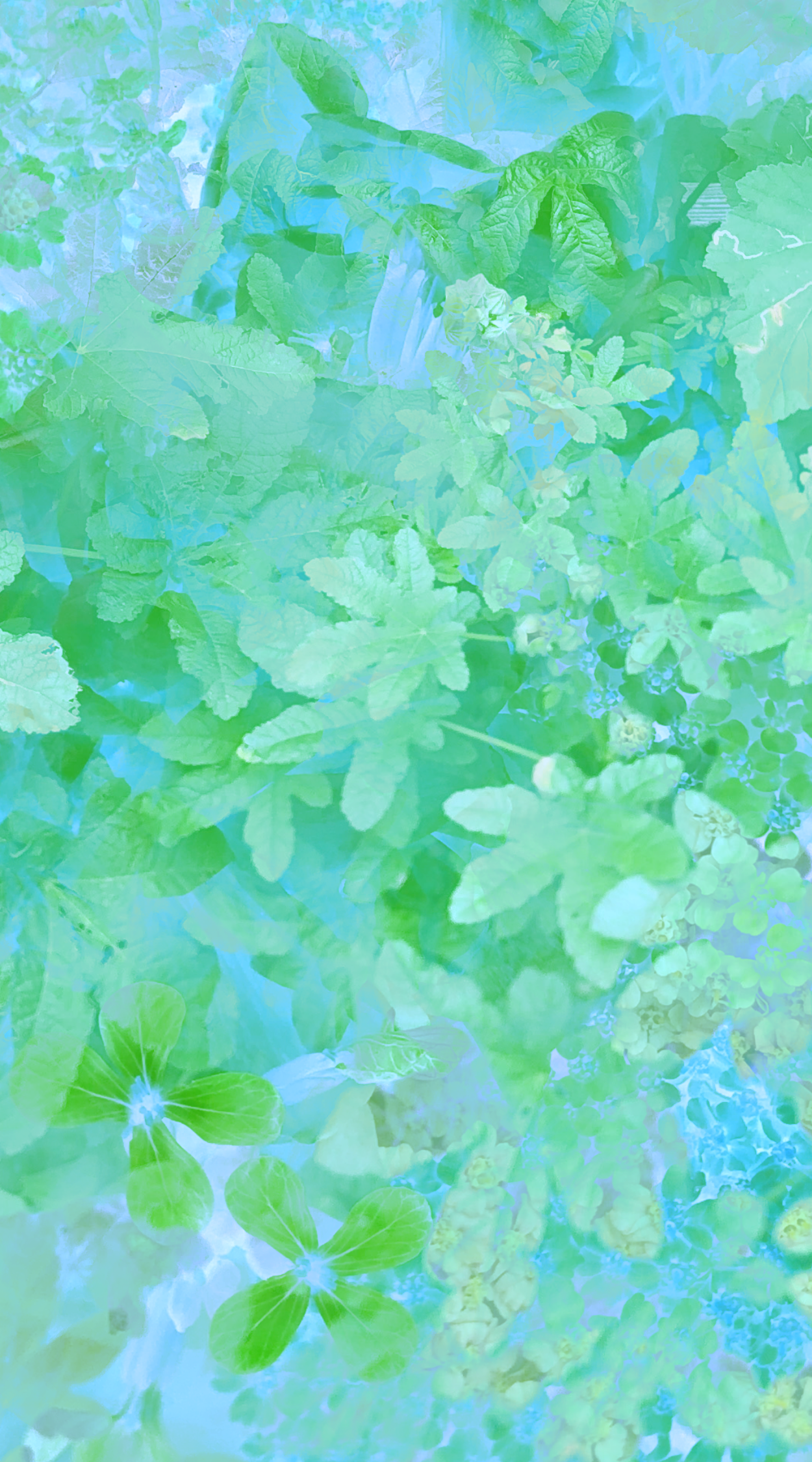 IMG_3922.png