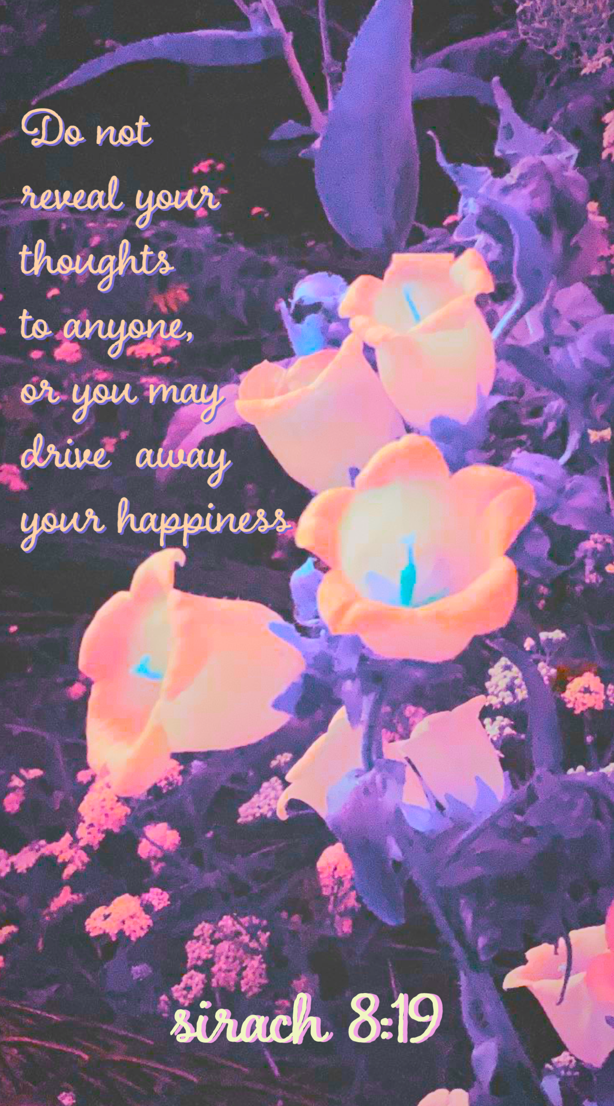 IMG_3818.png