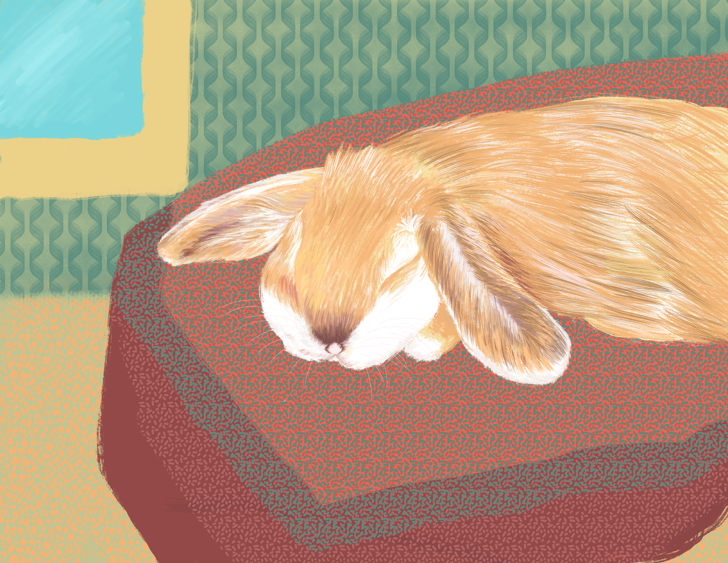 IMG_2781.png