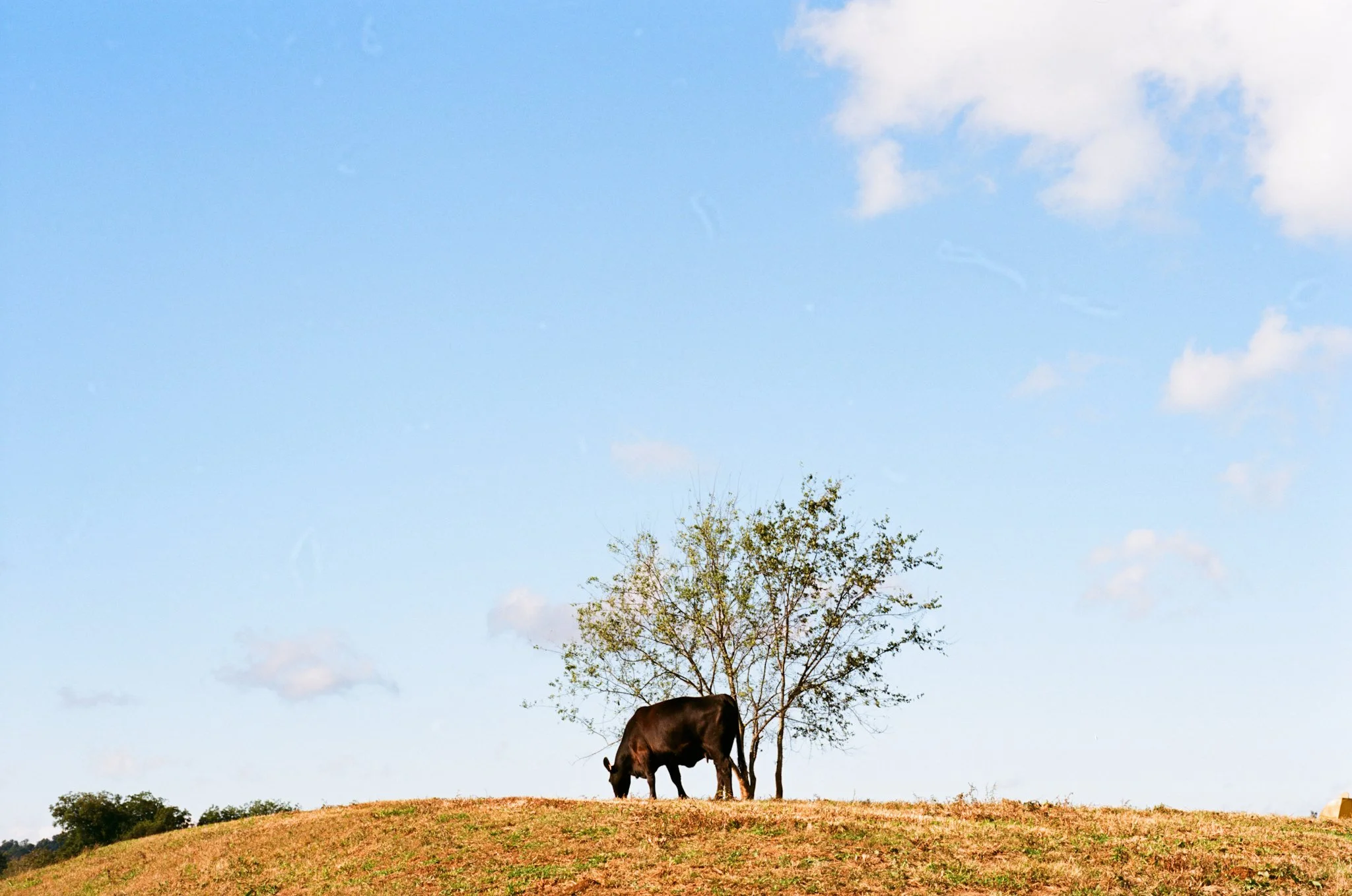 colors old film-021.jpg