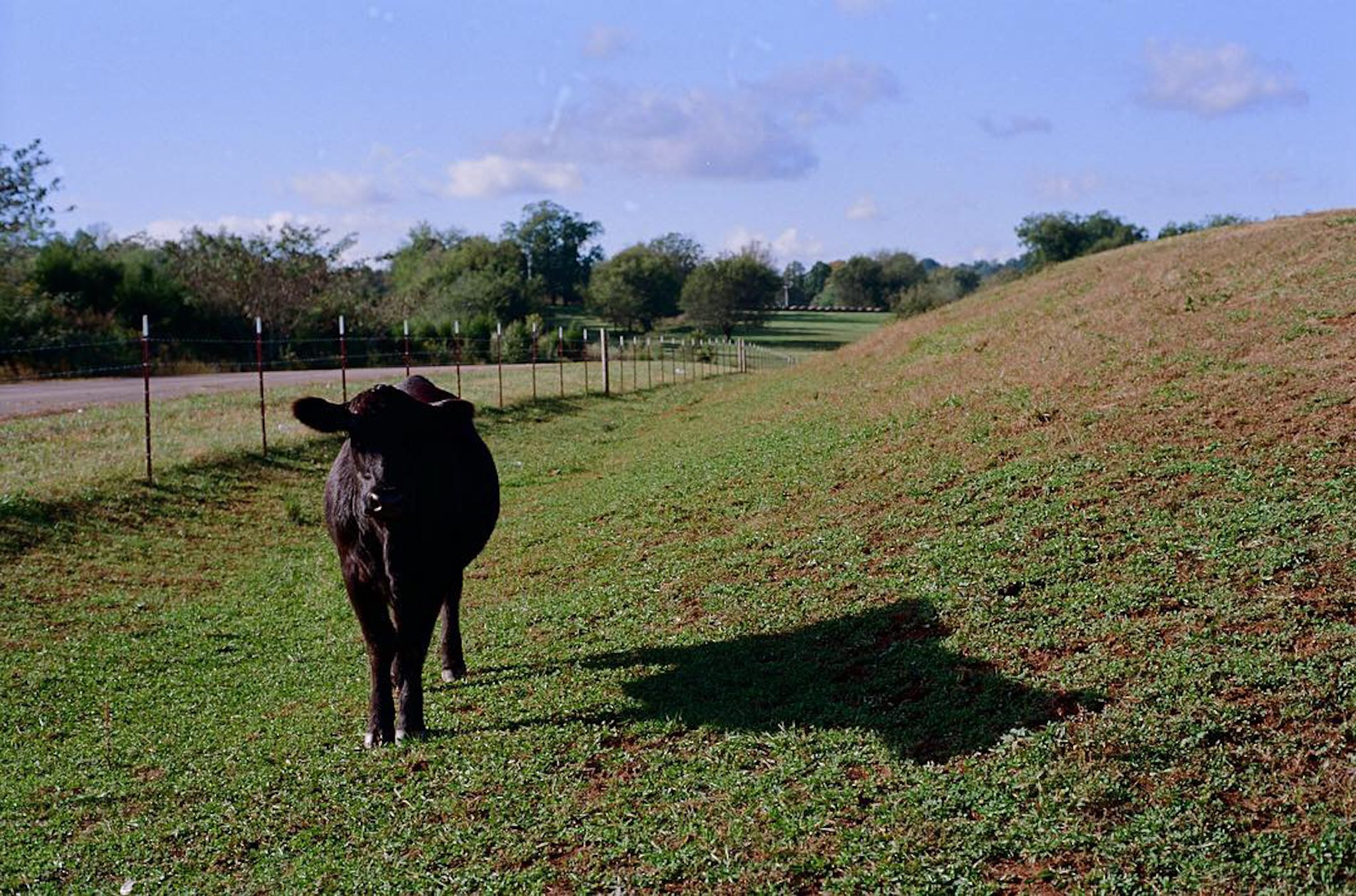 colors old film-028.JPG