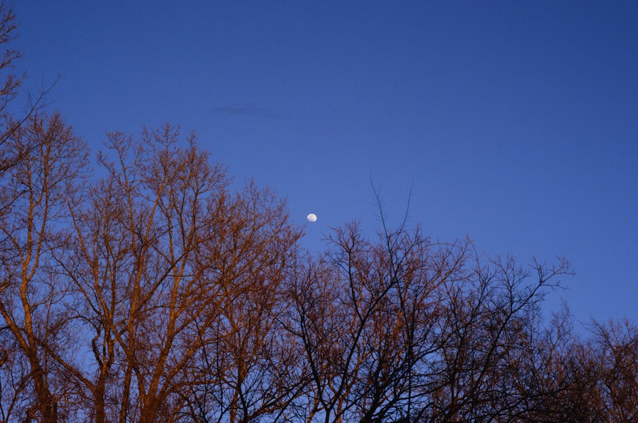 colors old film-077.JPG