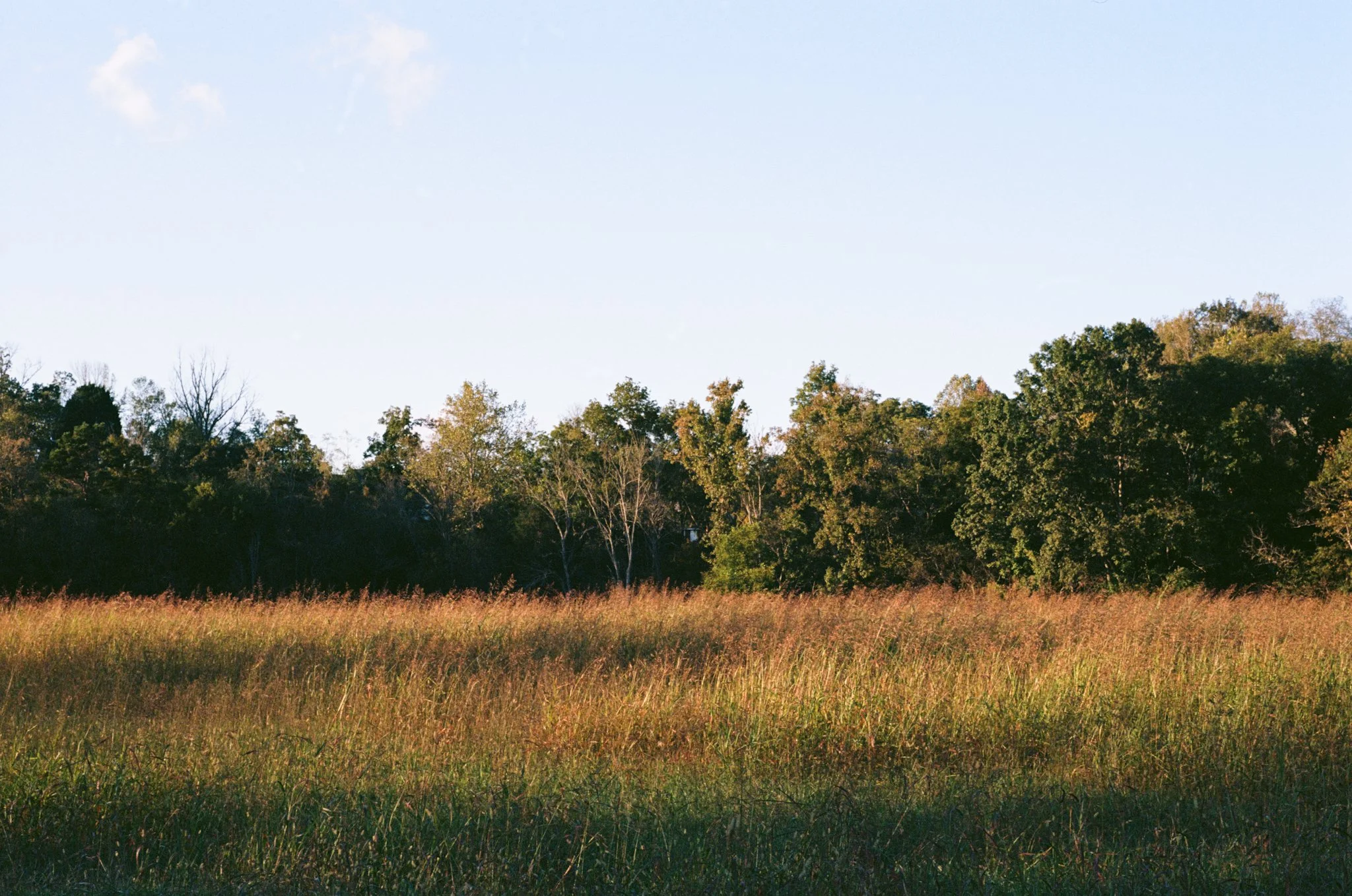 colors old film-020.jpg