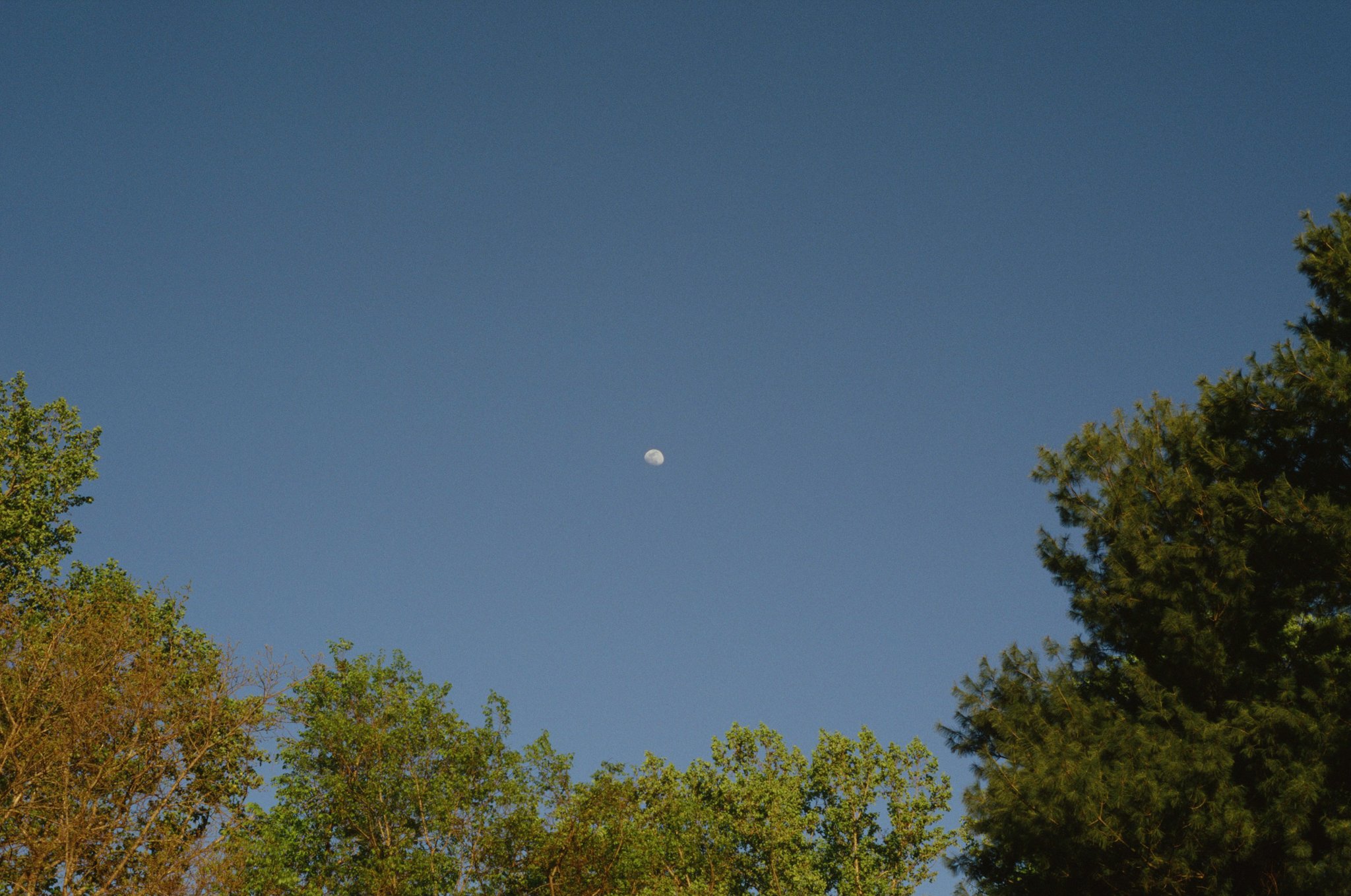 colors old film-093.jpg