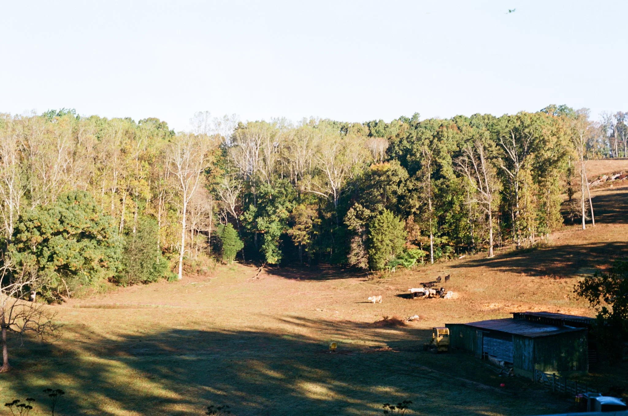 colors old film-013.jpg