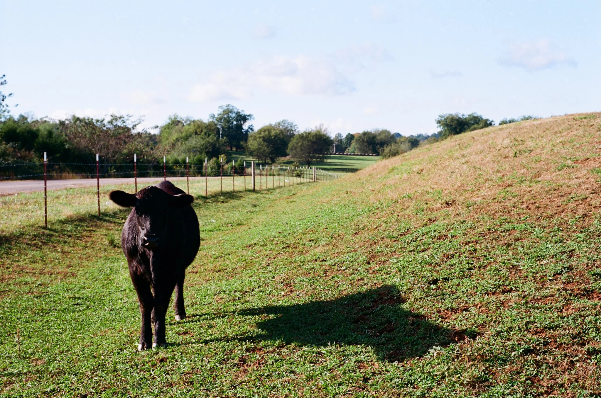 colors old film-022.jpg