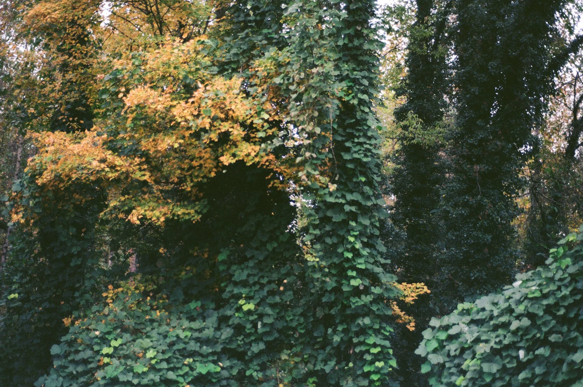 colors old film-017.jpg