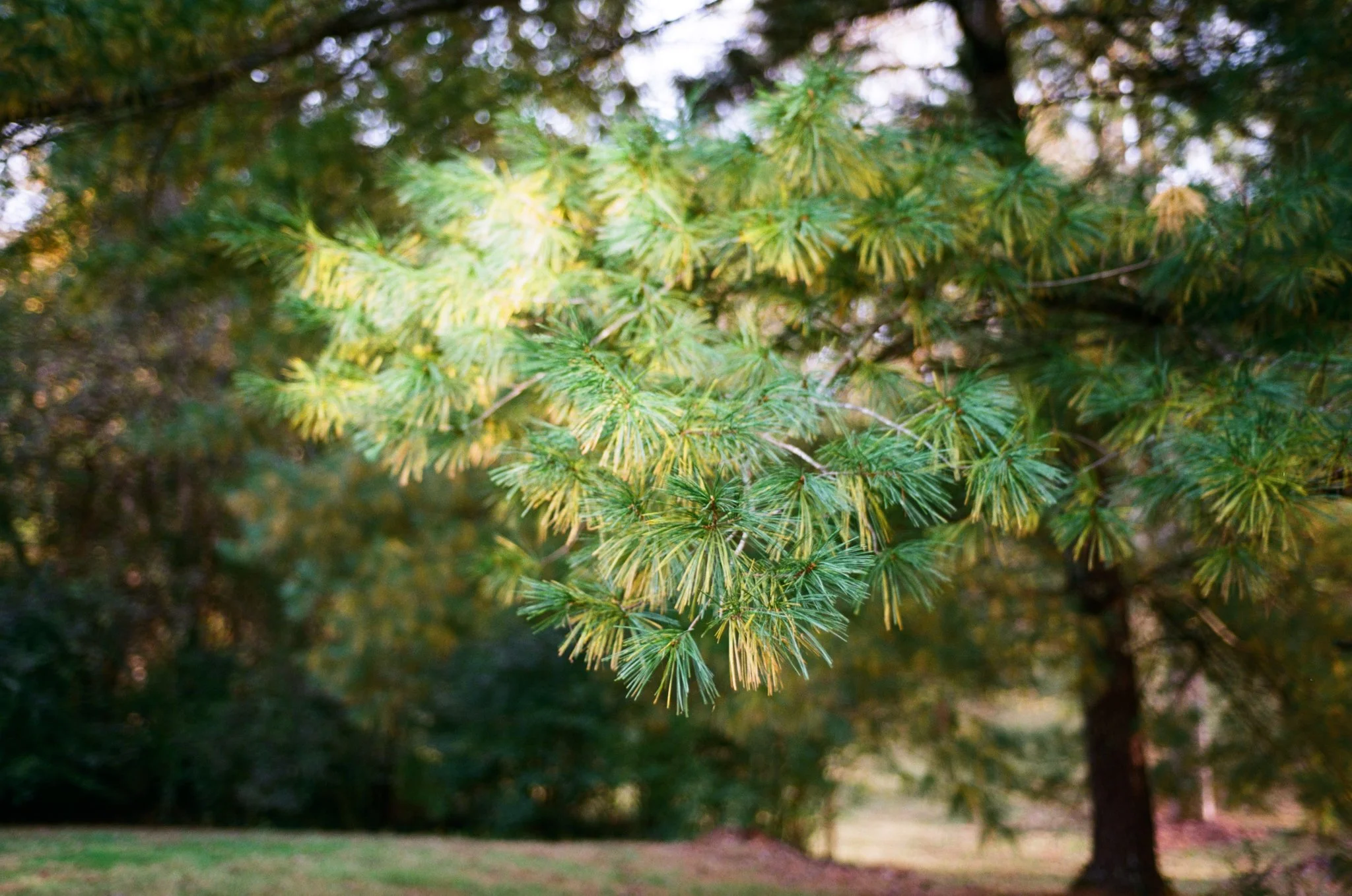 colors old film-040.jpg