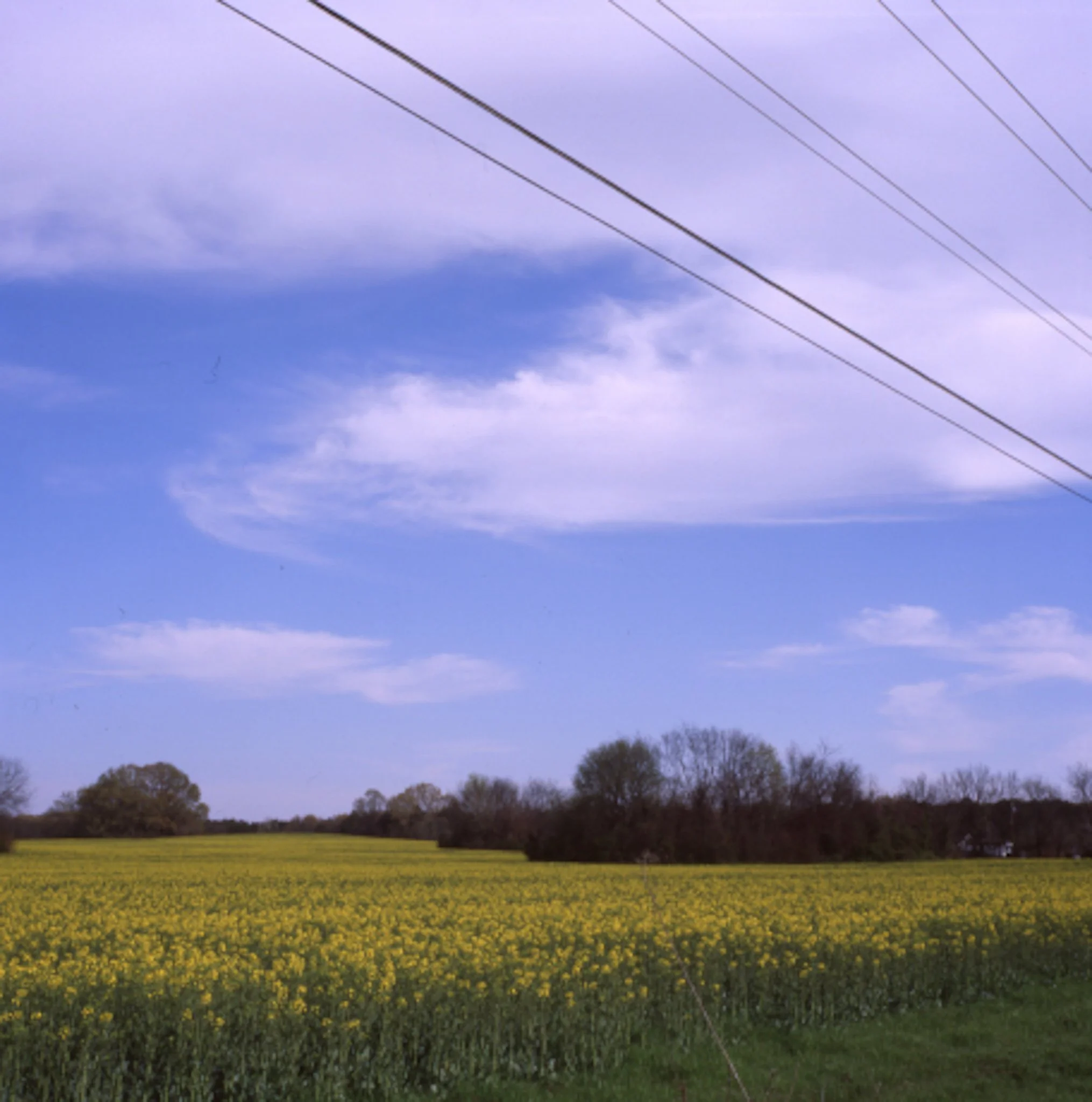 colors old film-007.JPG