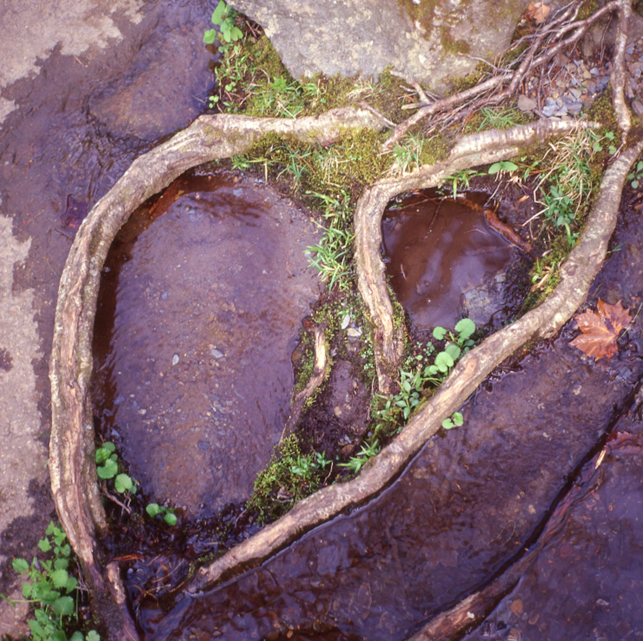 colors old film-008.JPG