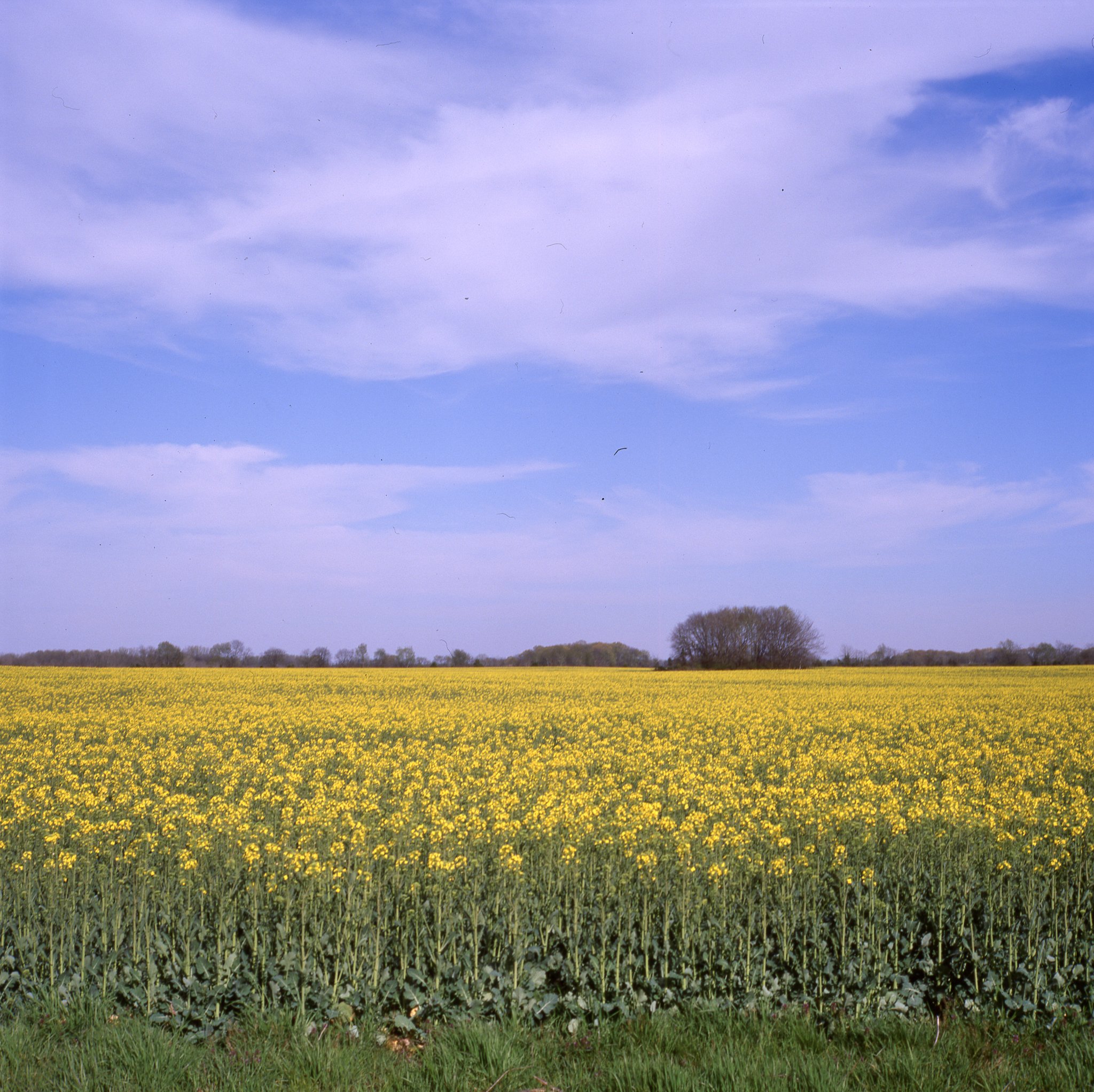 colors old film-005.JPG