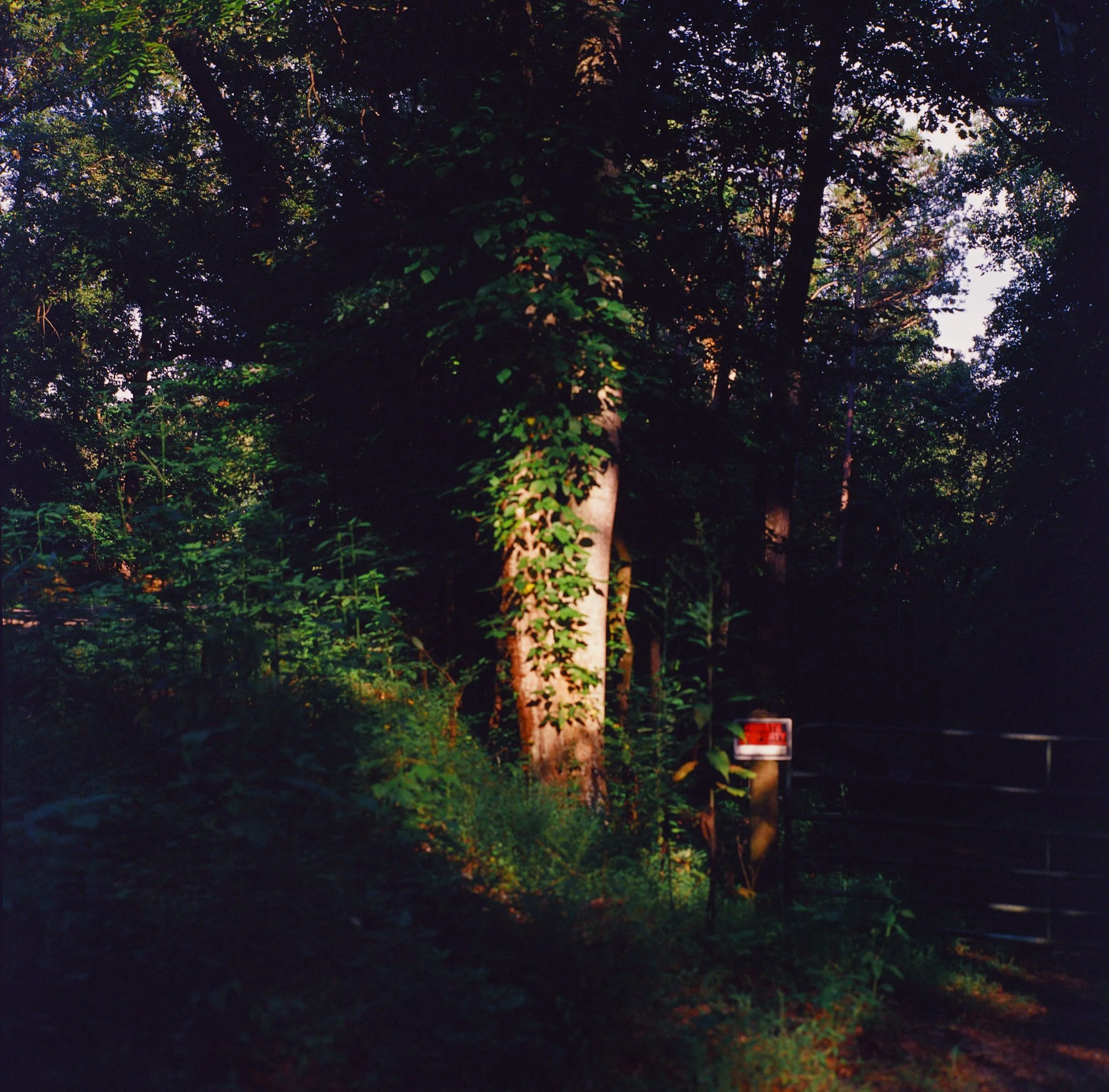 colors old film-060.jpg