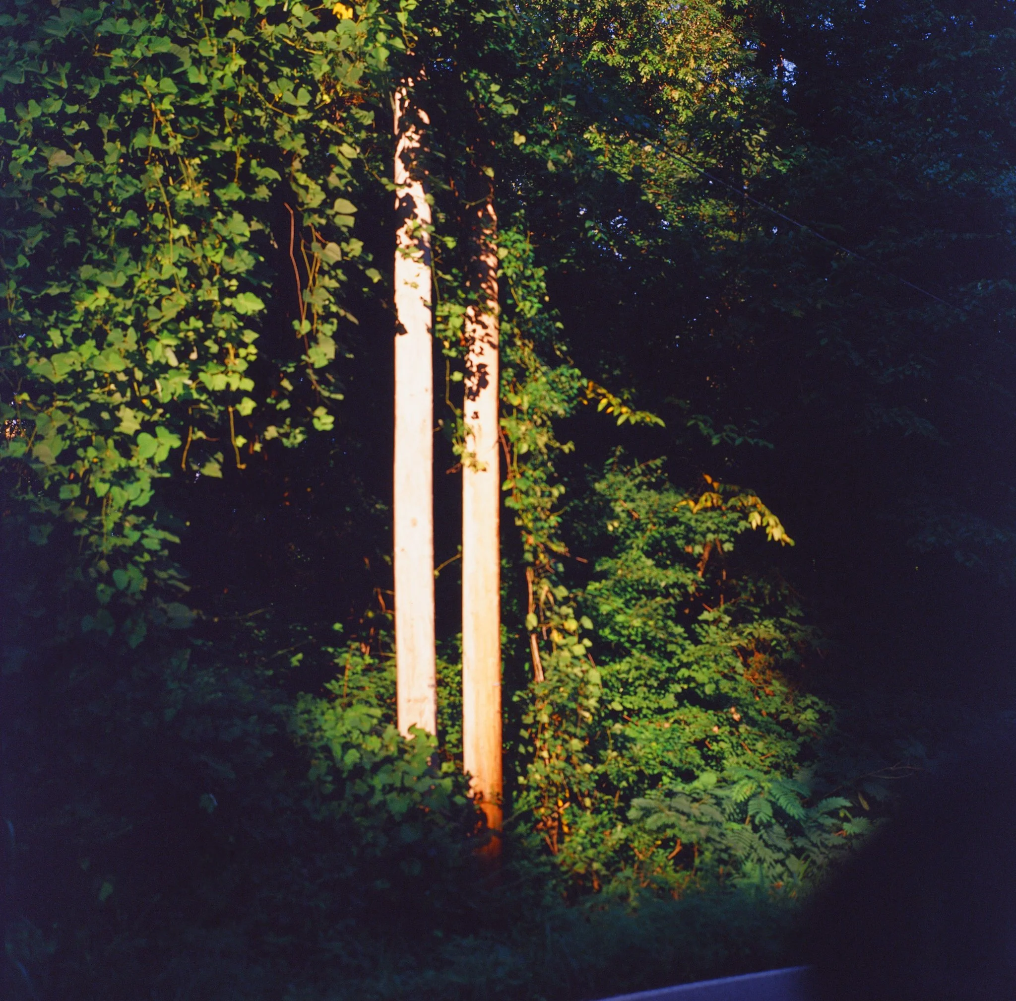 colors old film-062.jpg