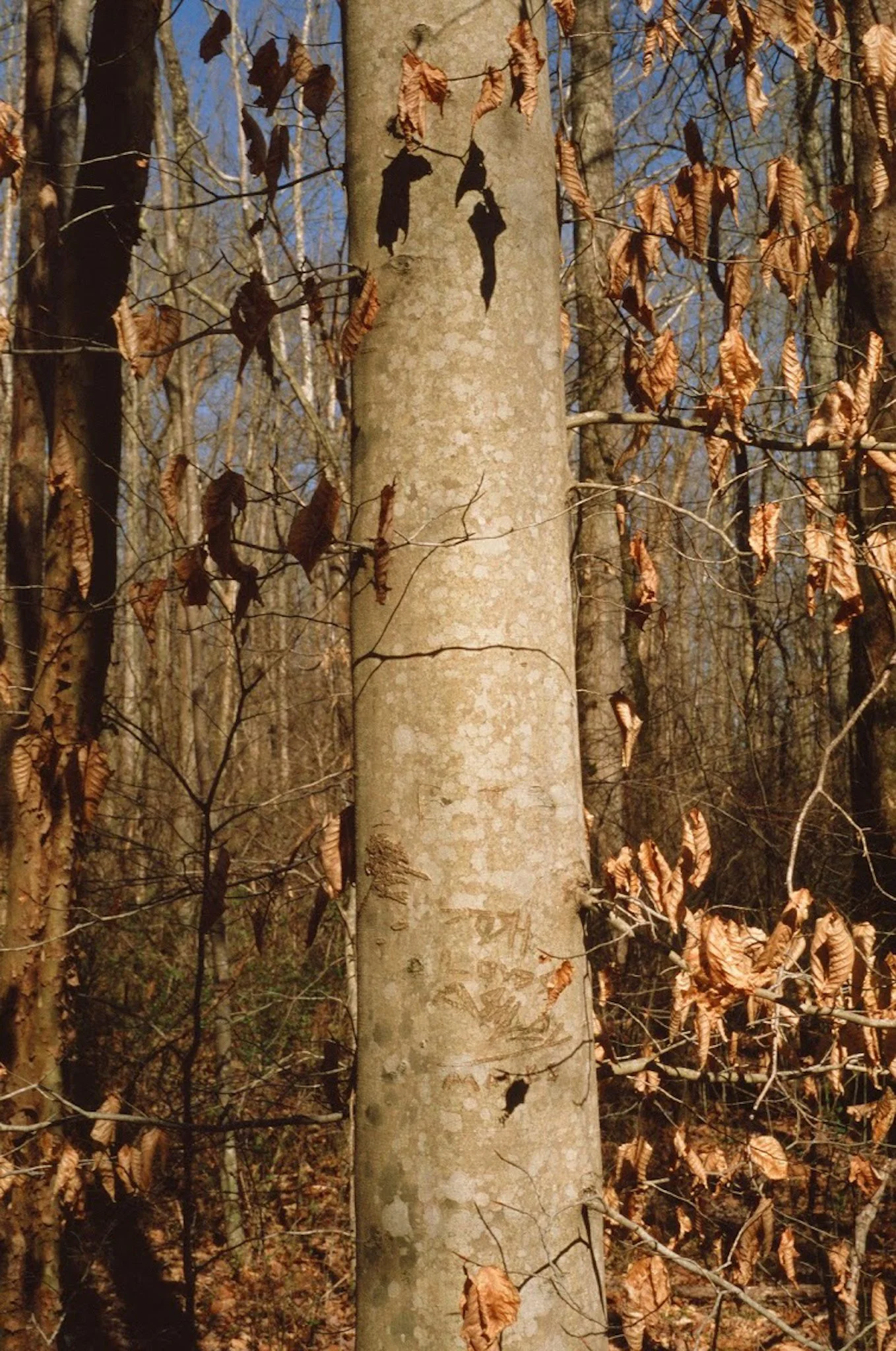 colors old film-081.JPG