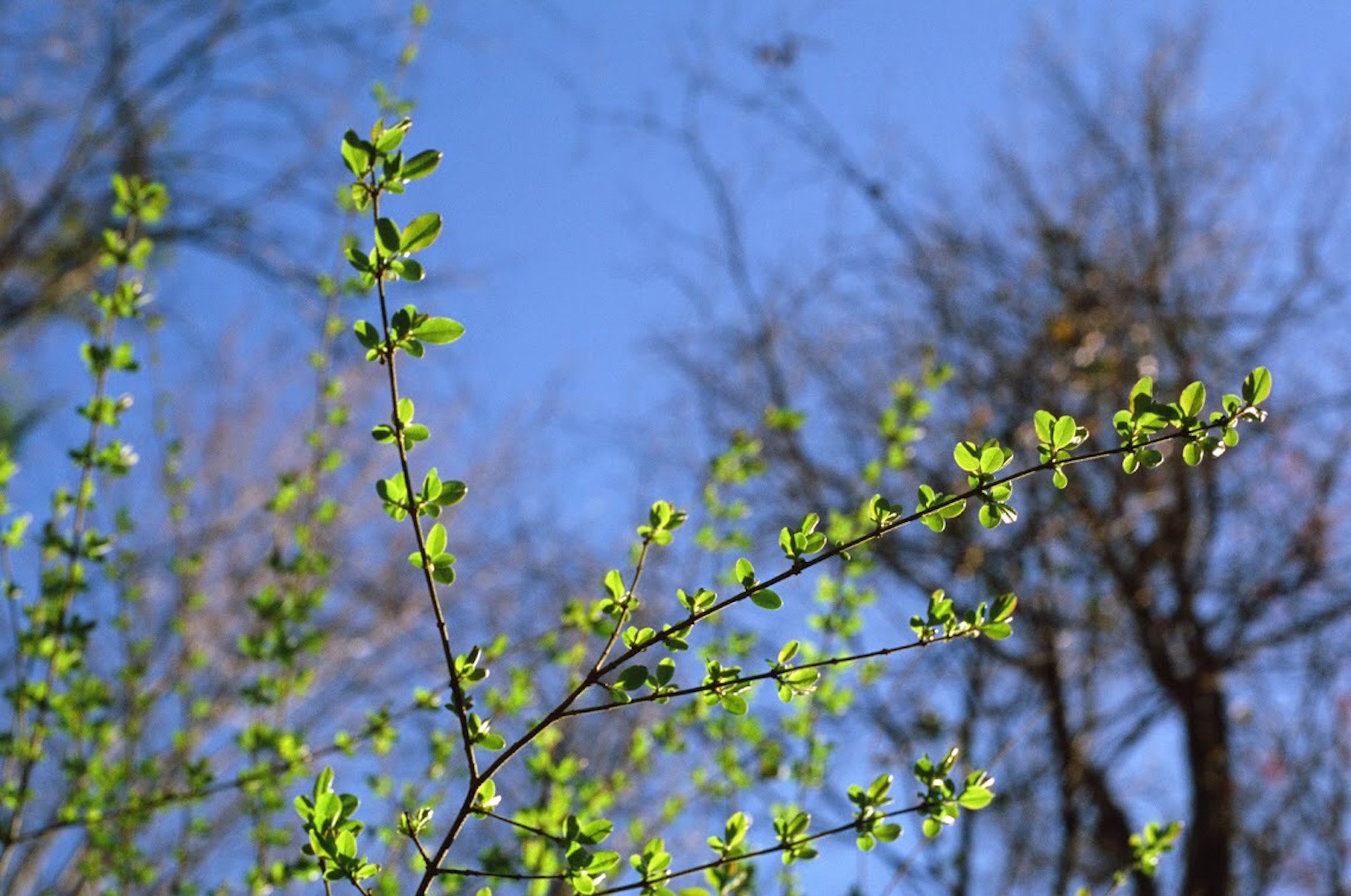 colors old film-082.JPG