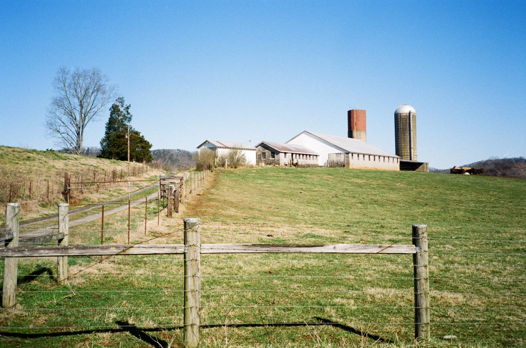 colors old film-070.jpg