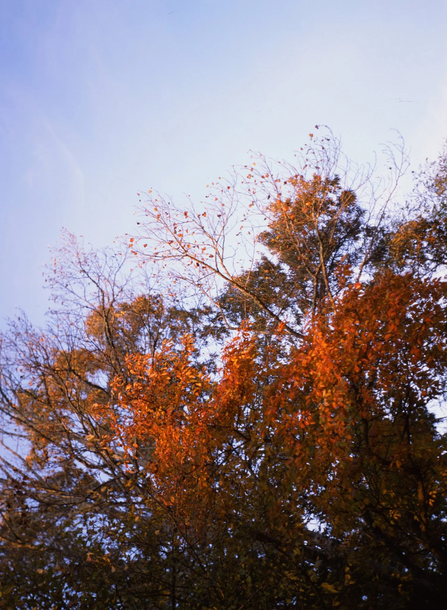 colors old film-072.jpg