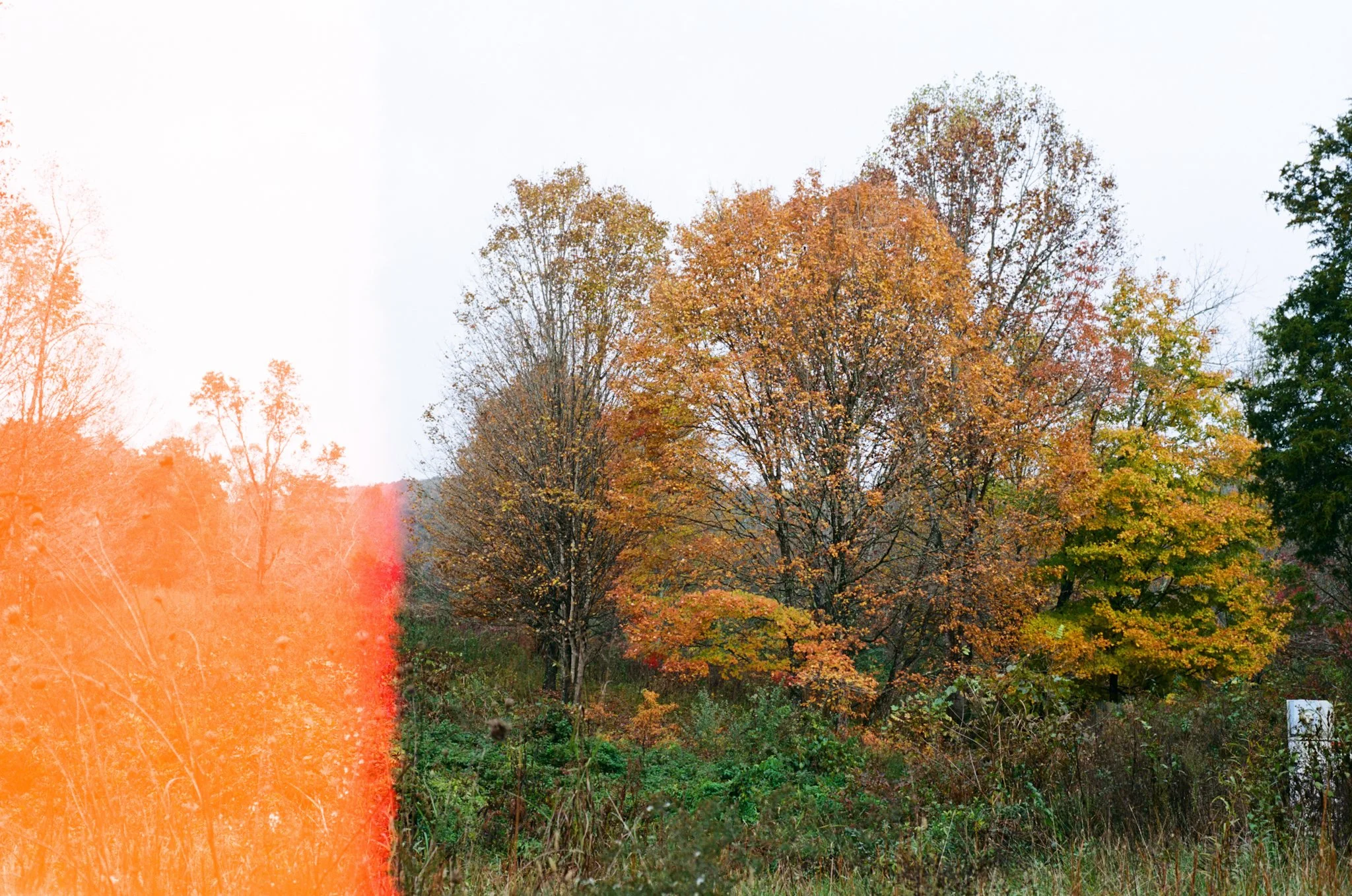 colors old film-032.jpg