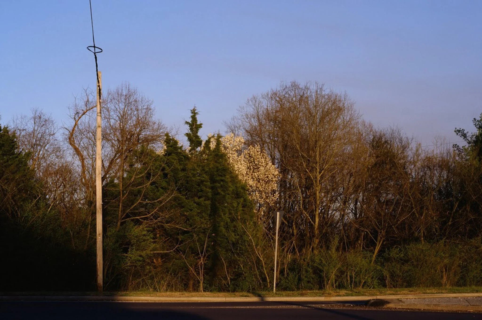 colors old film-075.JPG