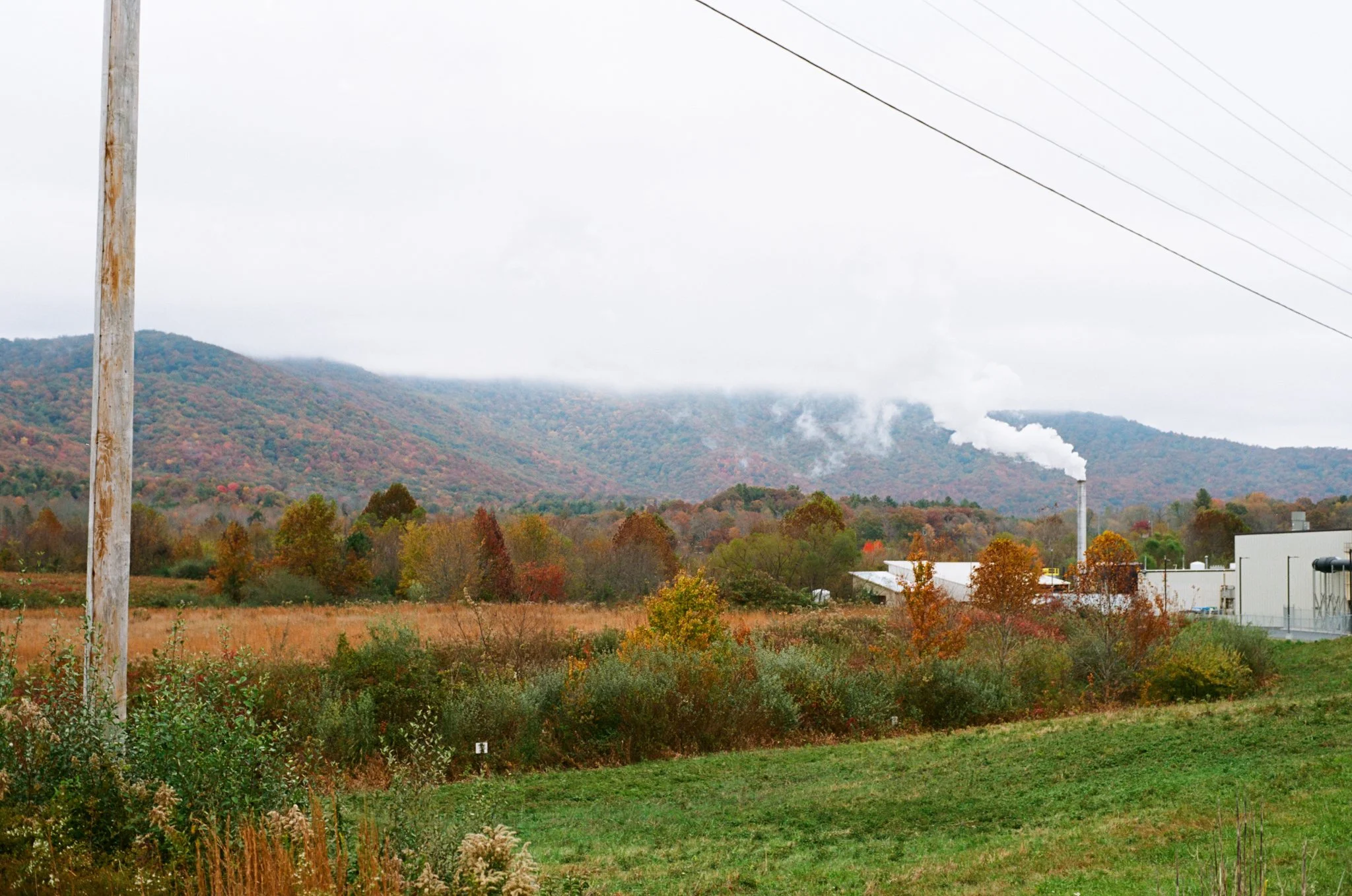 colors old film-037.jpg