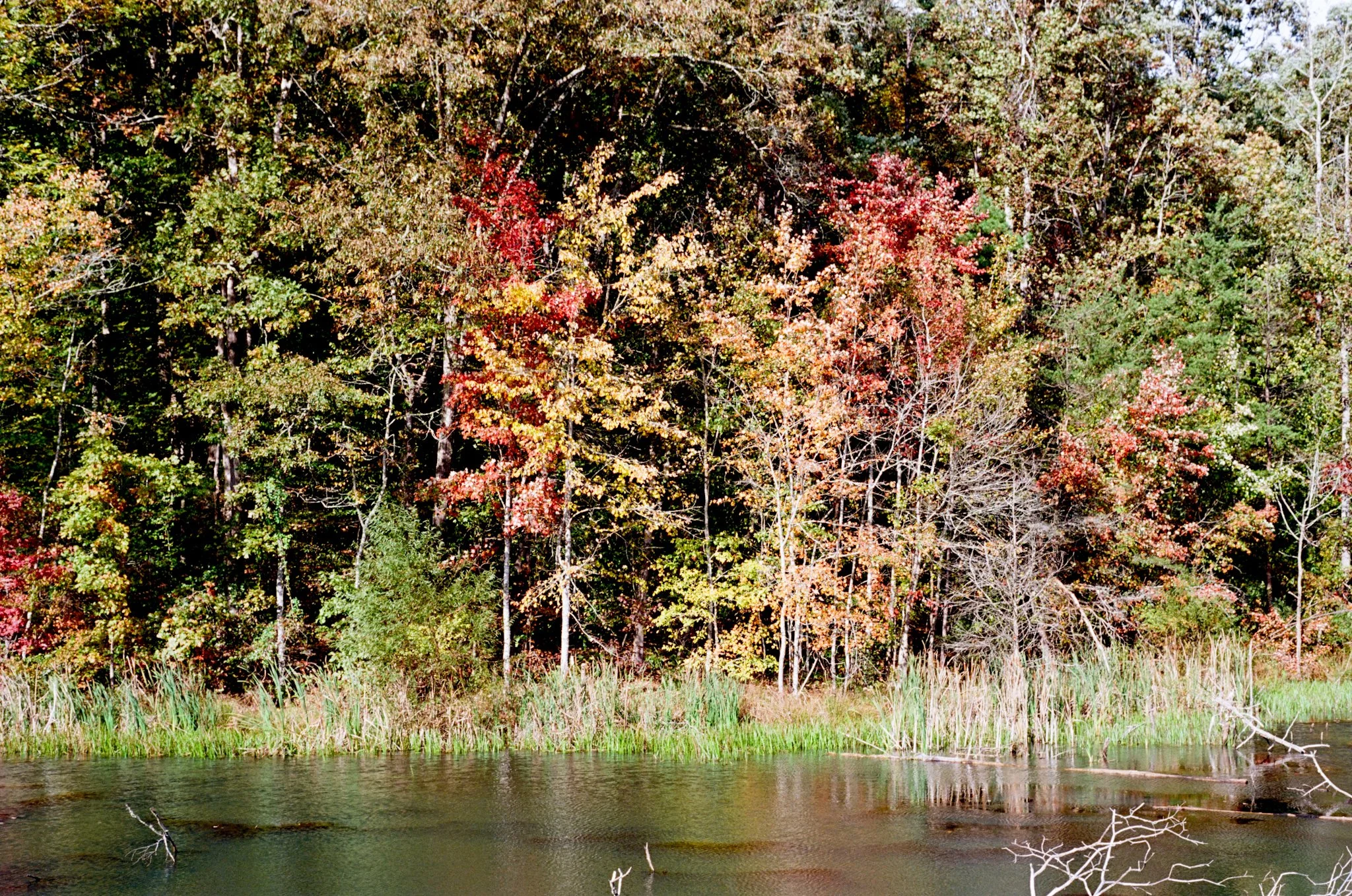 colors old film-015.jpg