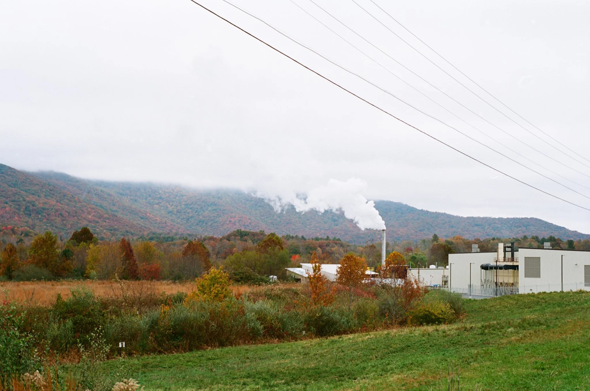 colors old film-036.jpg