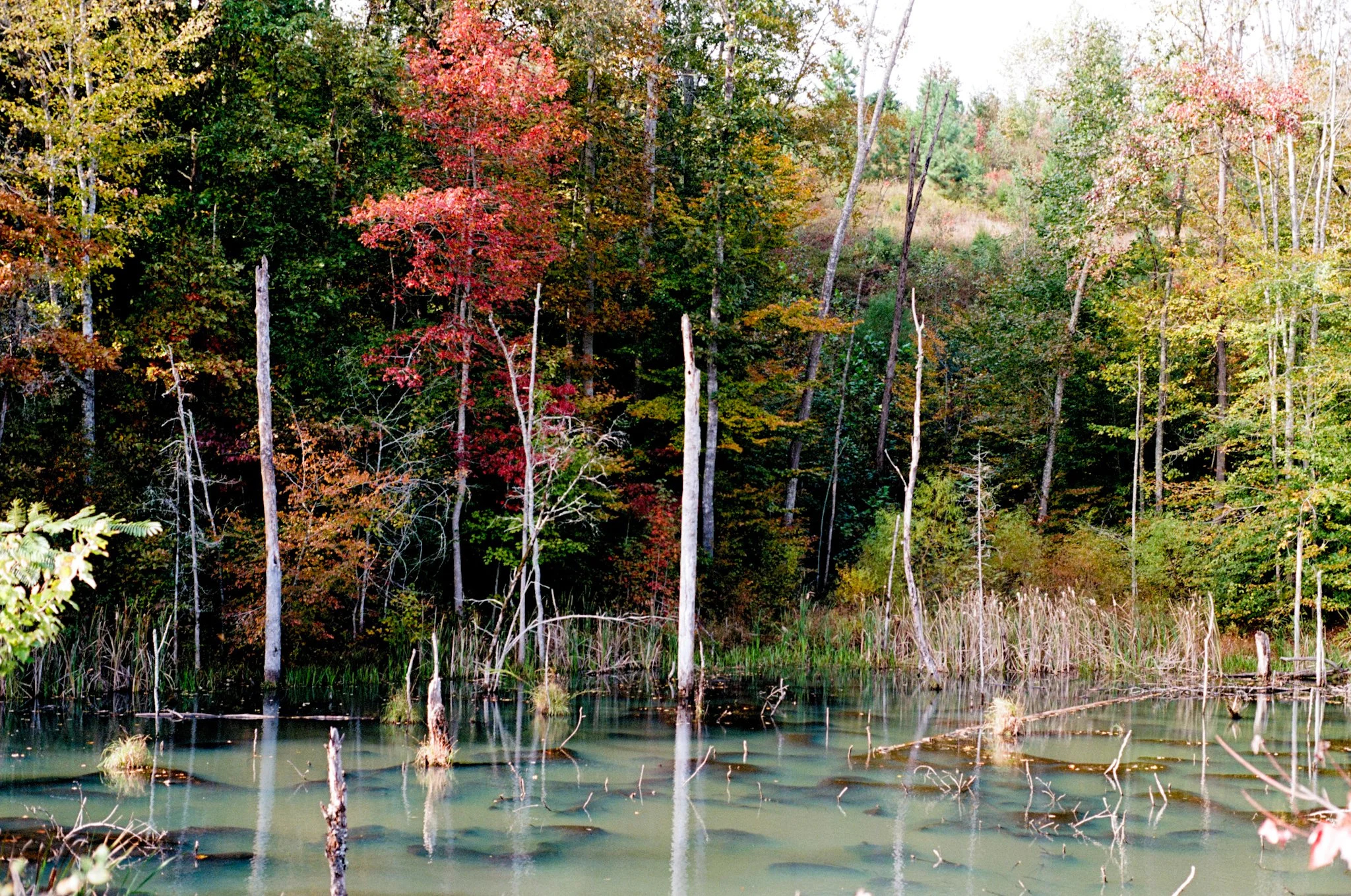 colors old film-016.jpg