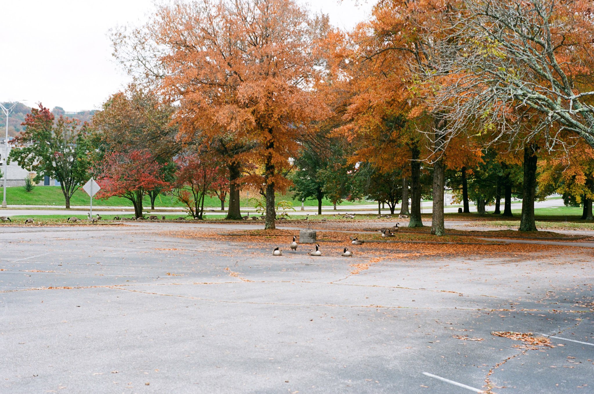 colors old film-099.jpg