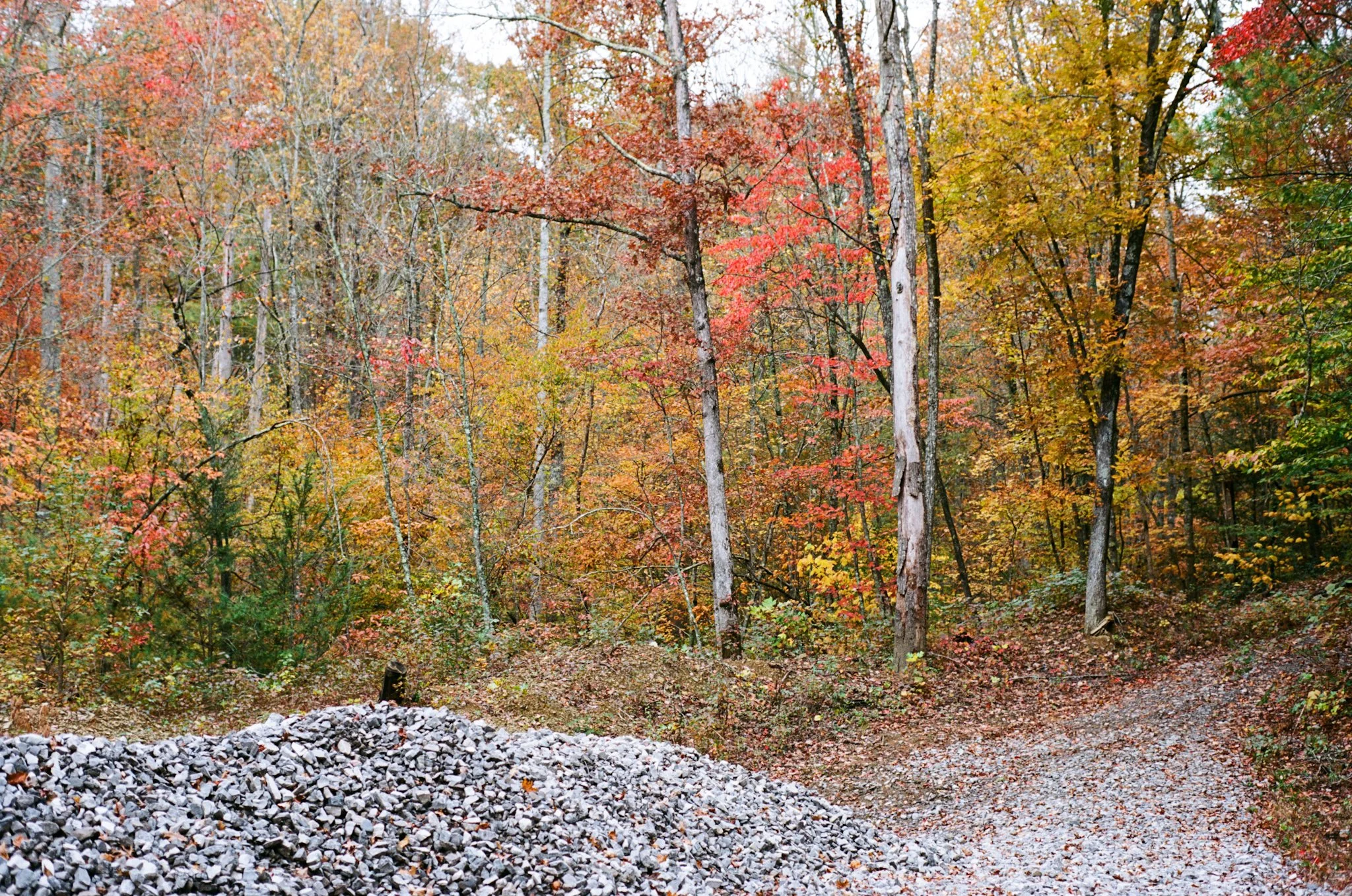 colors old film-039.jpg