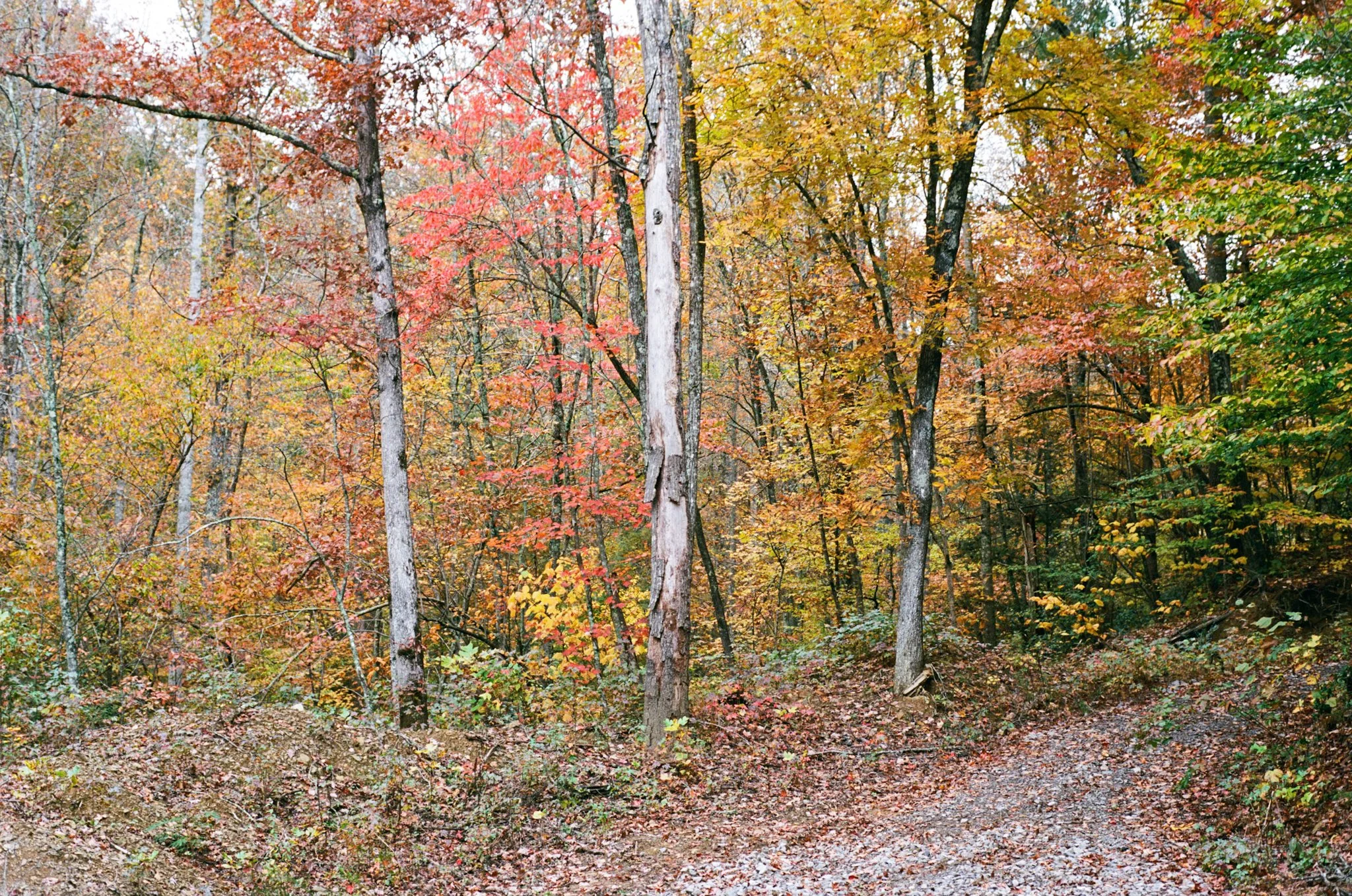 colors old film-100.jpg