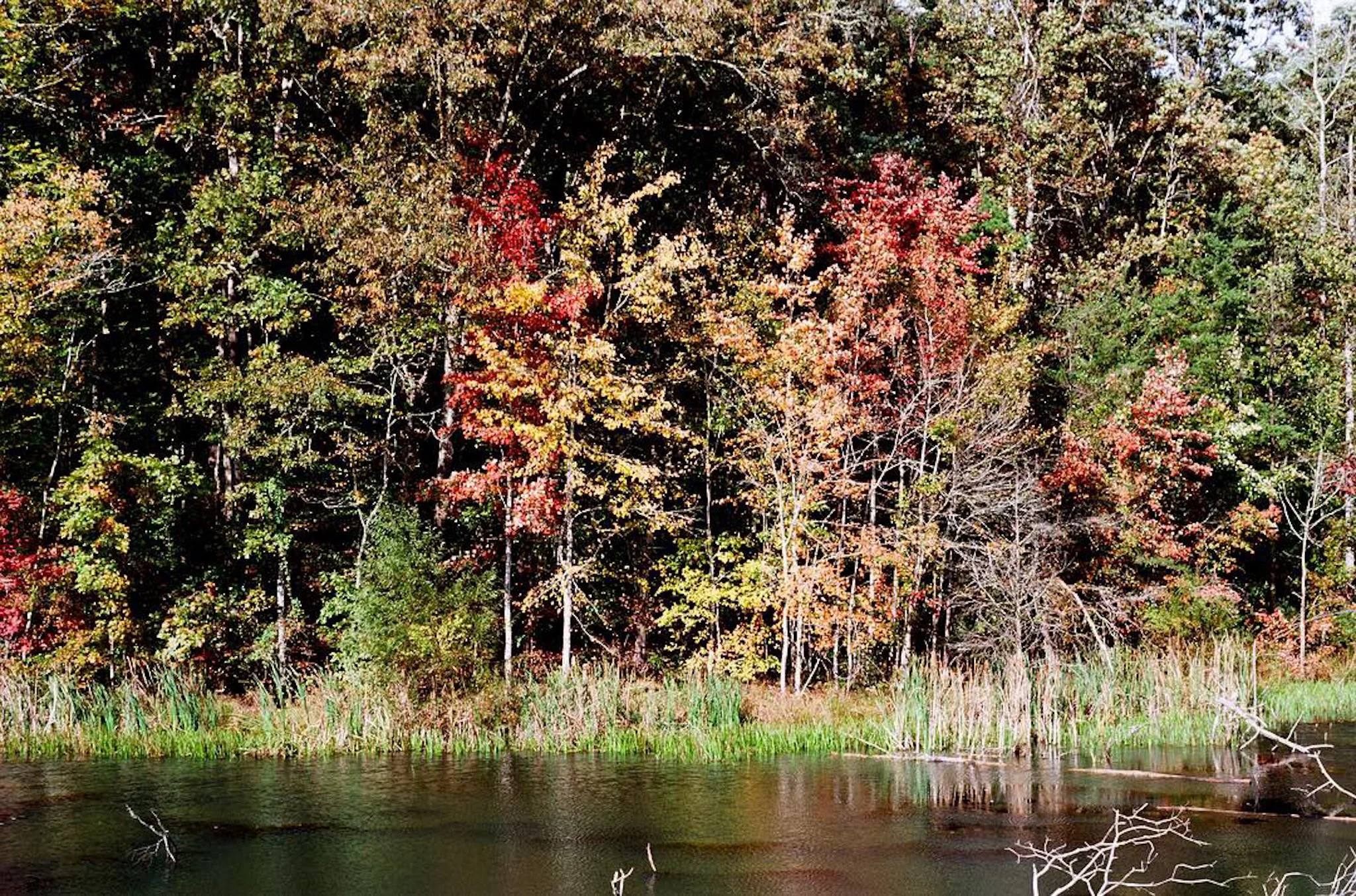 colors old film-025.JPG